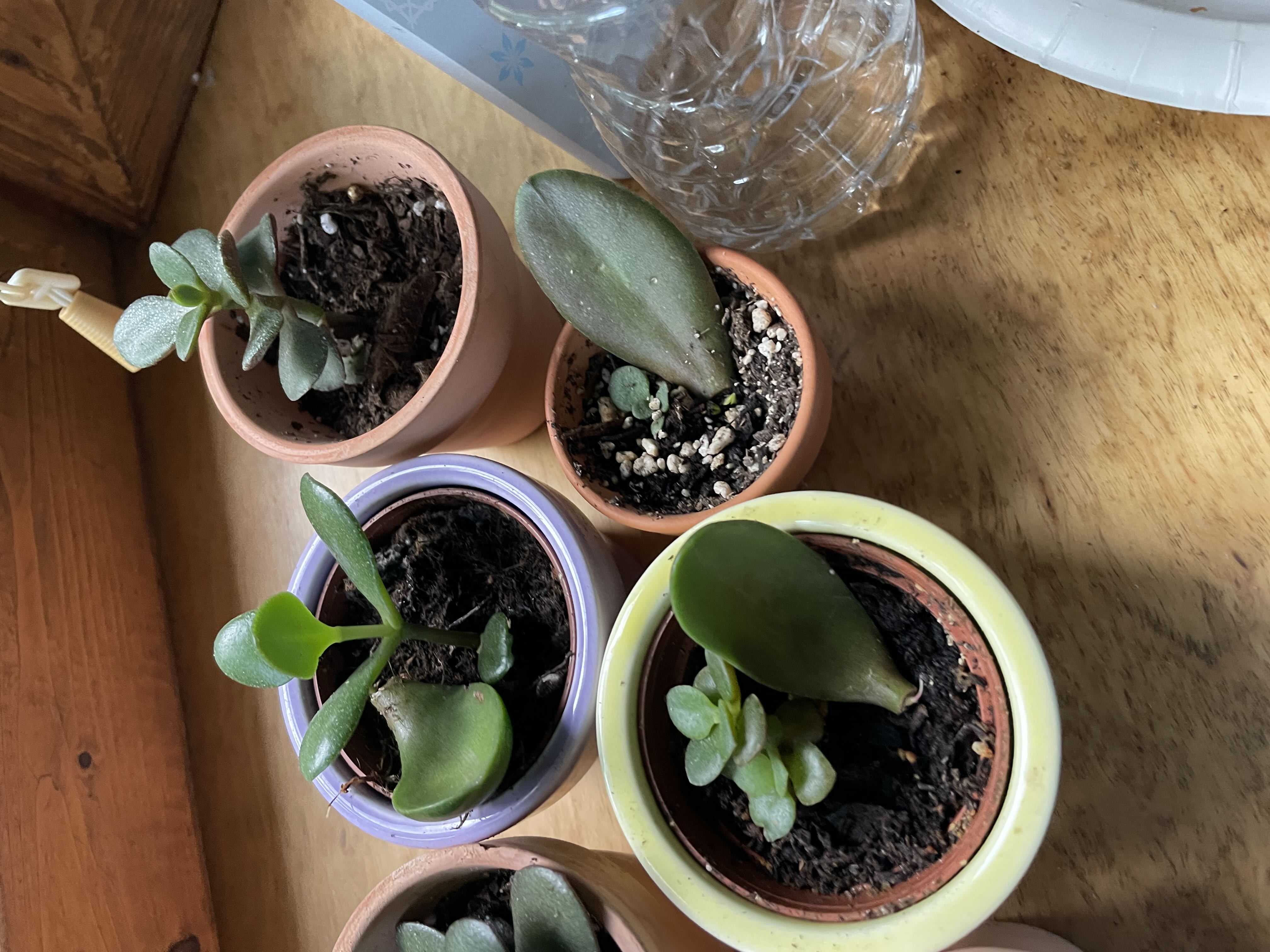 Photo from the post