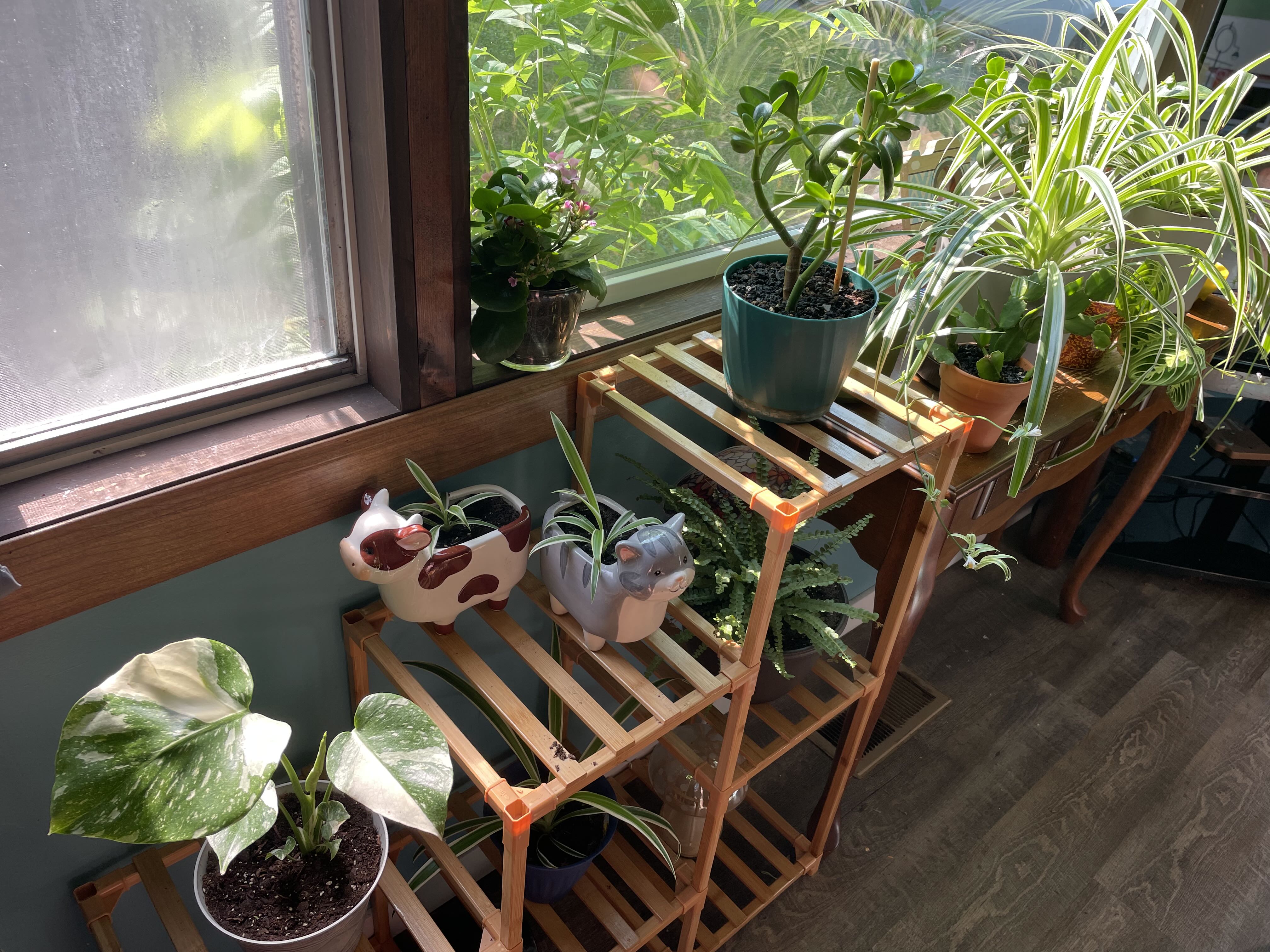 Photo from the post