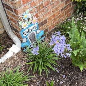 Photo of the plant species Agapanthus Praecox by @CordialGollum2 named Maya on Greg, the plant care app