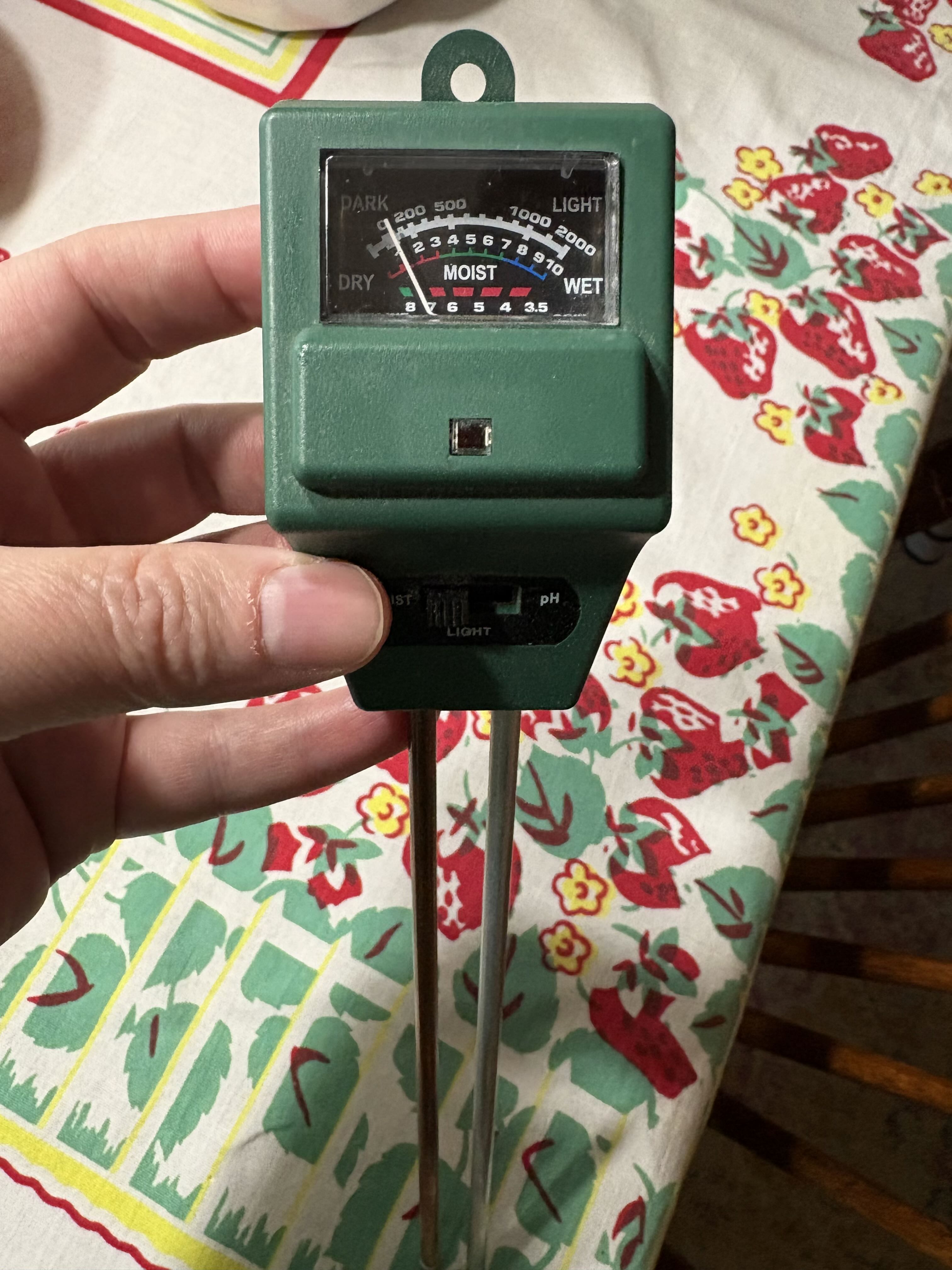 Photo from the post