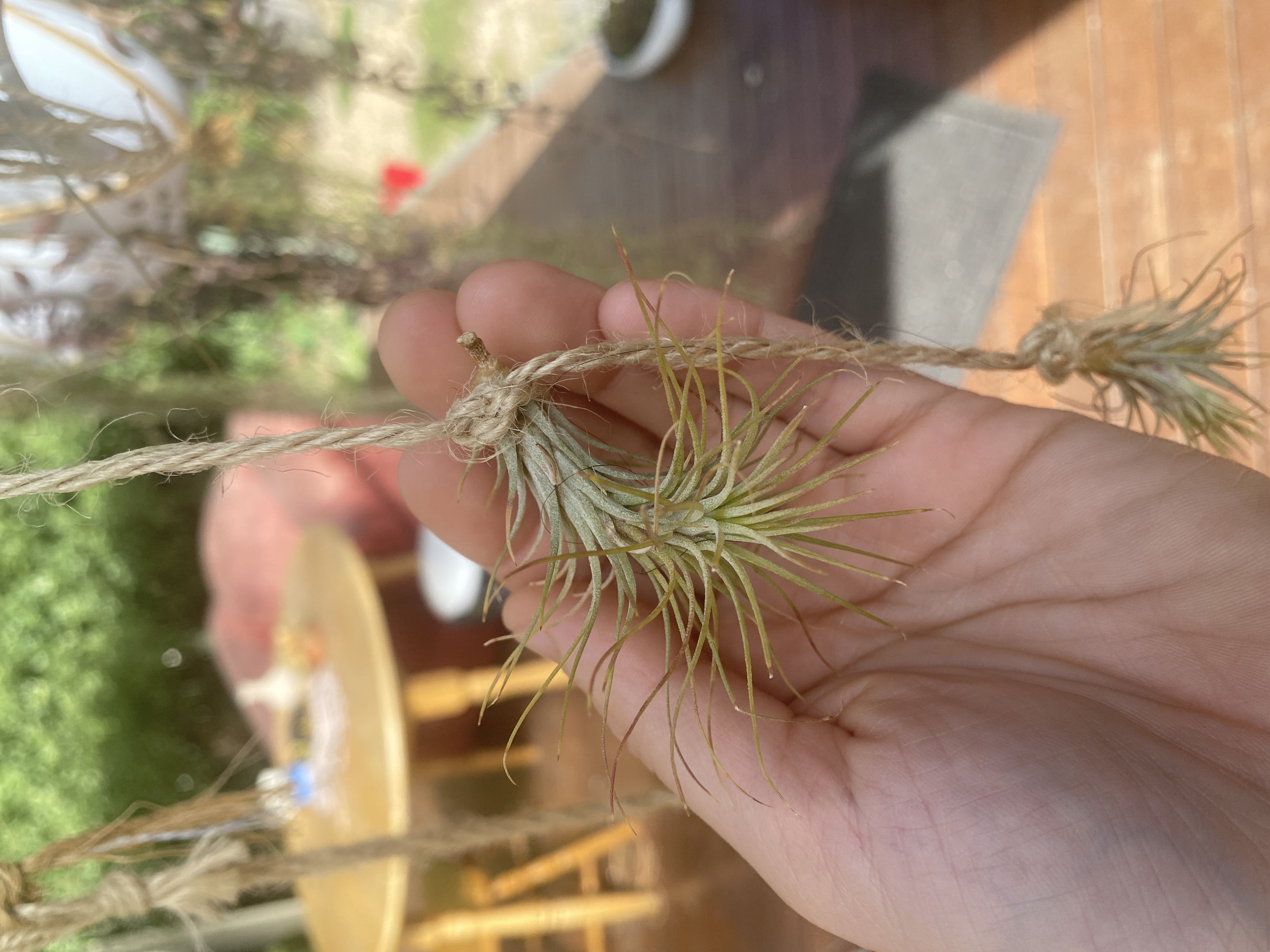 Photo from the post