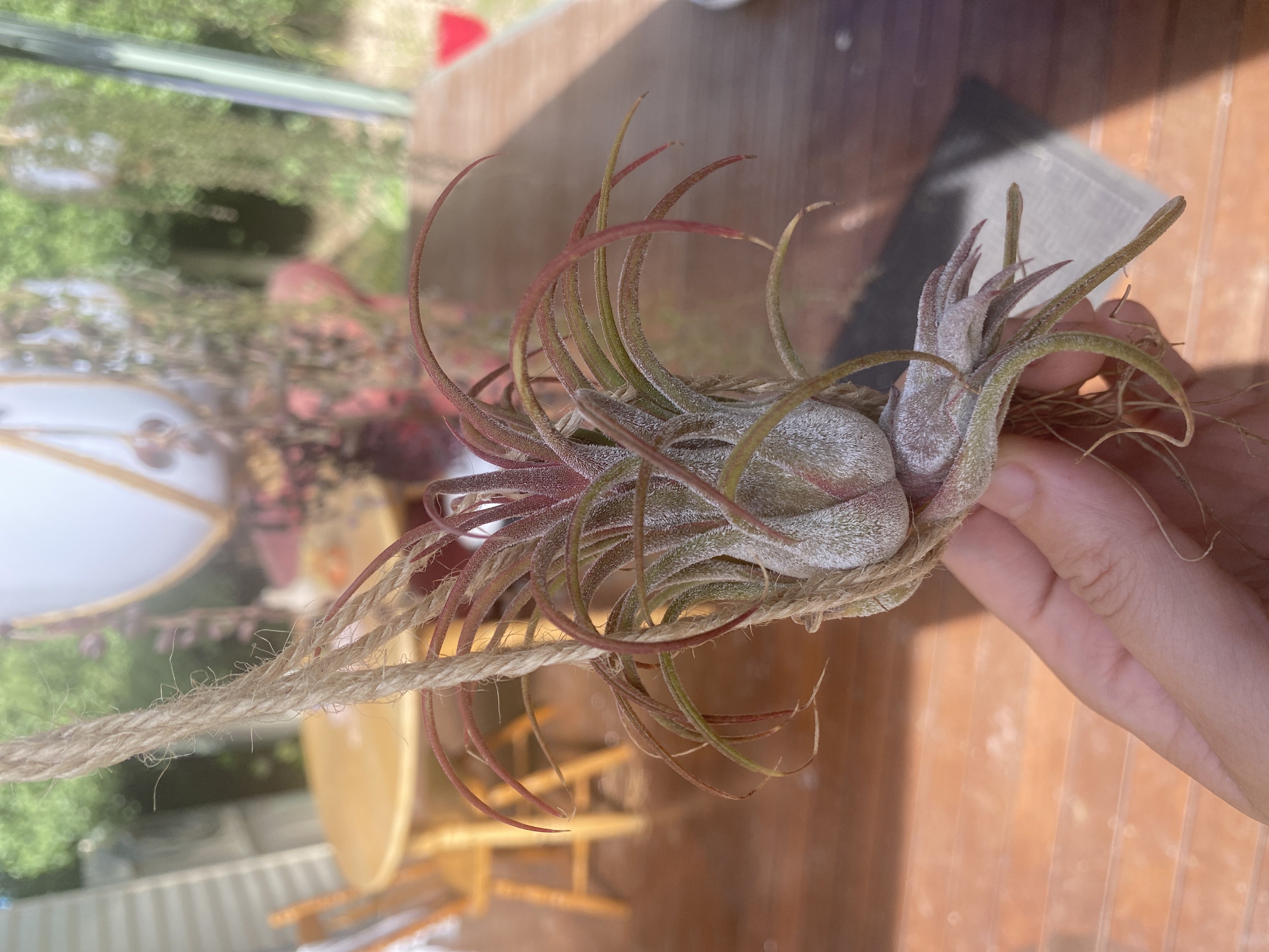 Photo from the post