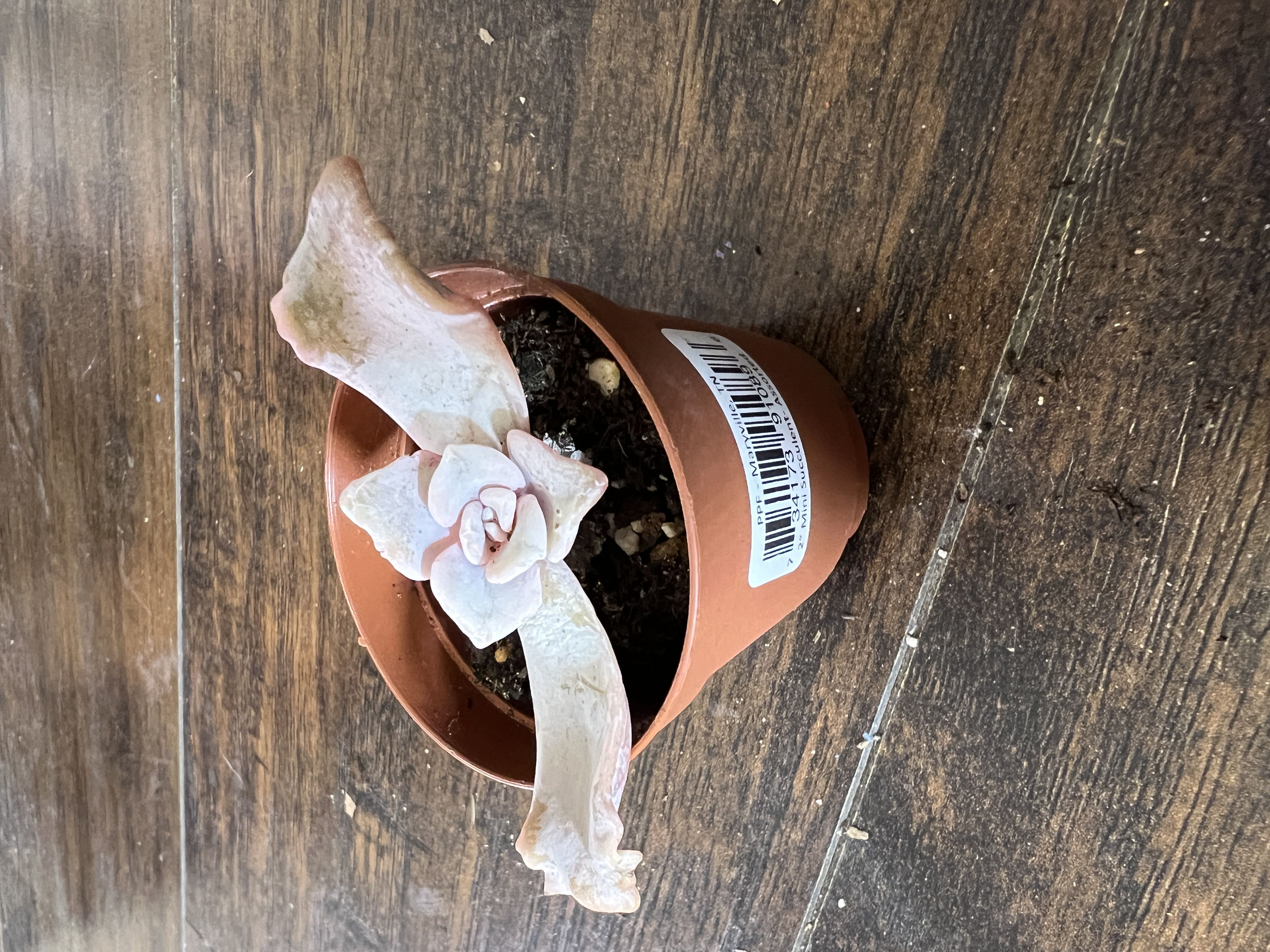 Photo from the post