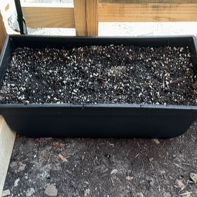 Photo of the plant species Shady Wildflower Mix by @CalmChaosGarden named Lil Sprout on Greg, the plant care app