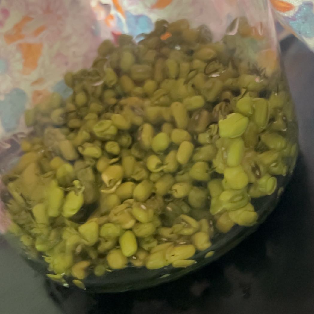 Photo of the plant species Wild Mung Bean by @SmileyDecodon named Beckham on Greg, the plant care app
