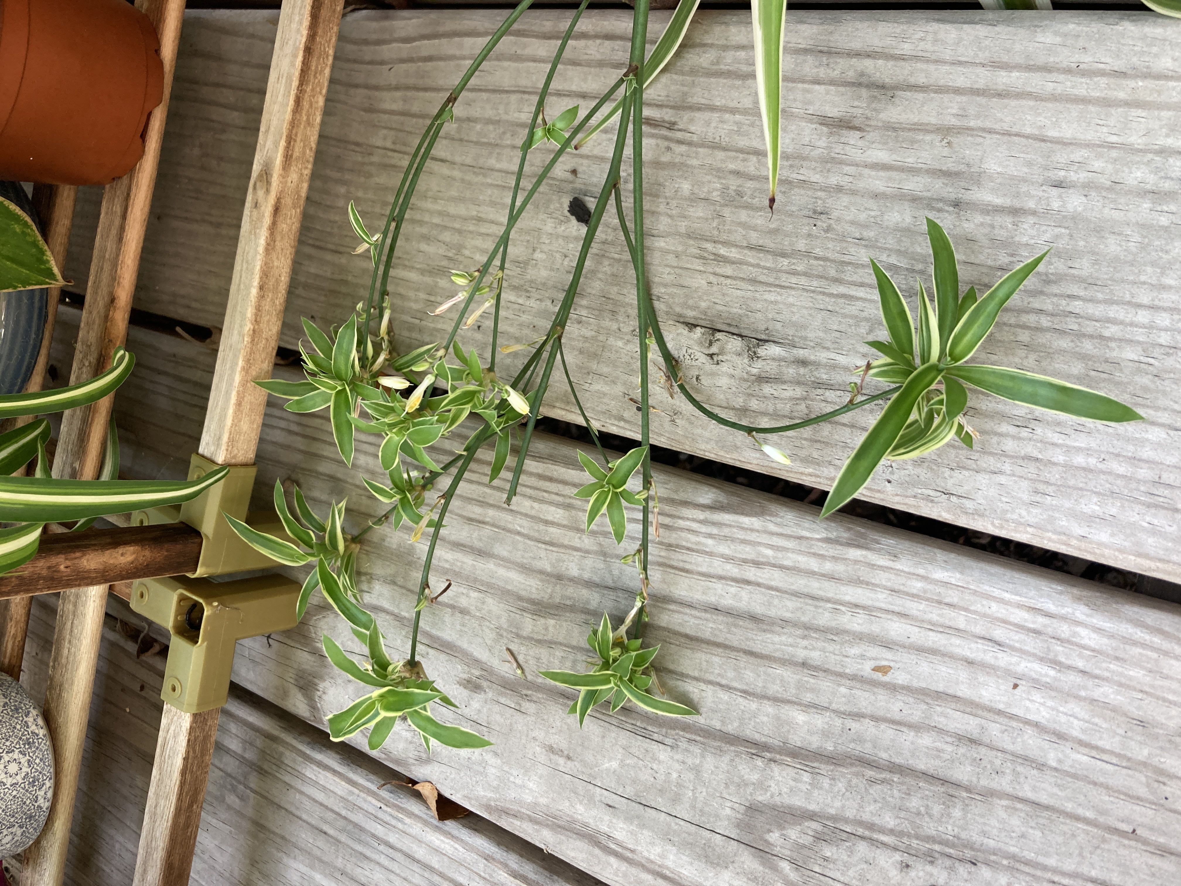 Photo from the post