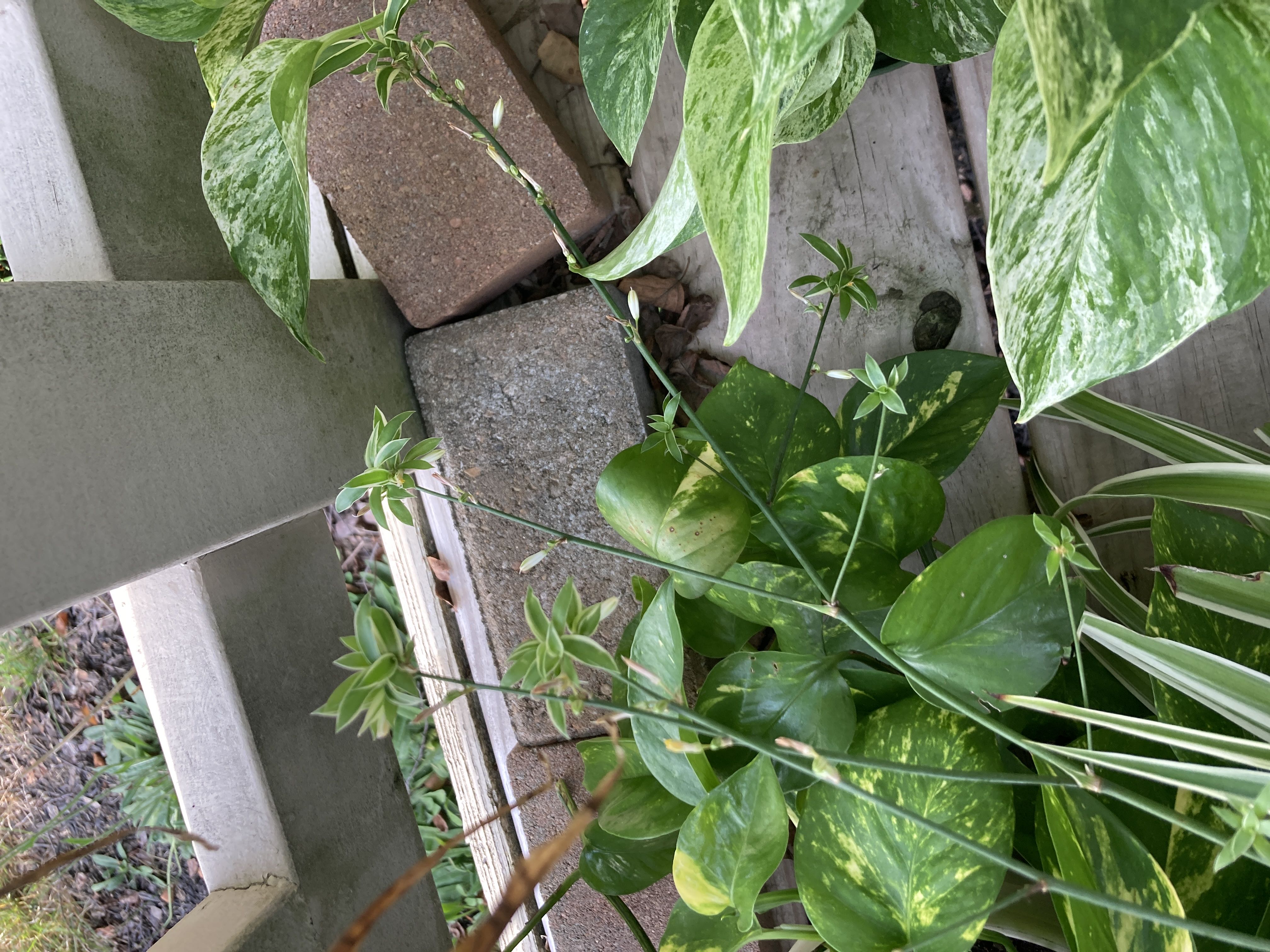 Photo from the post