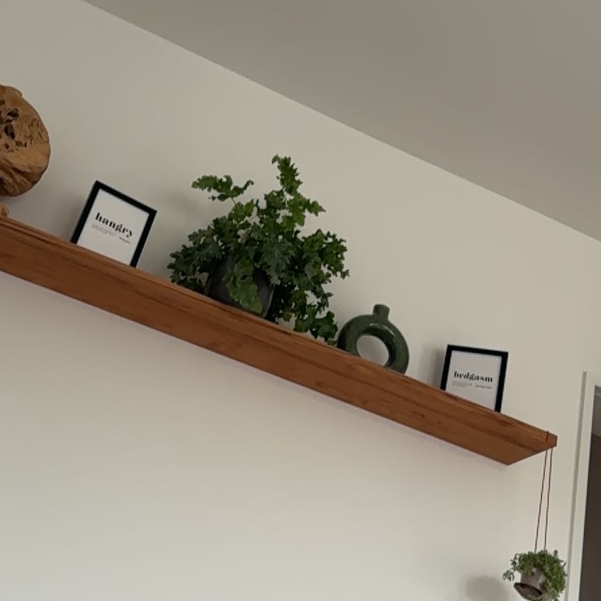 Photo of the plant species Phlebodium 'Davana' by @TryChinarose76 named Osmo on Greg, the plant care app
