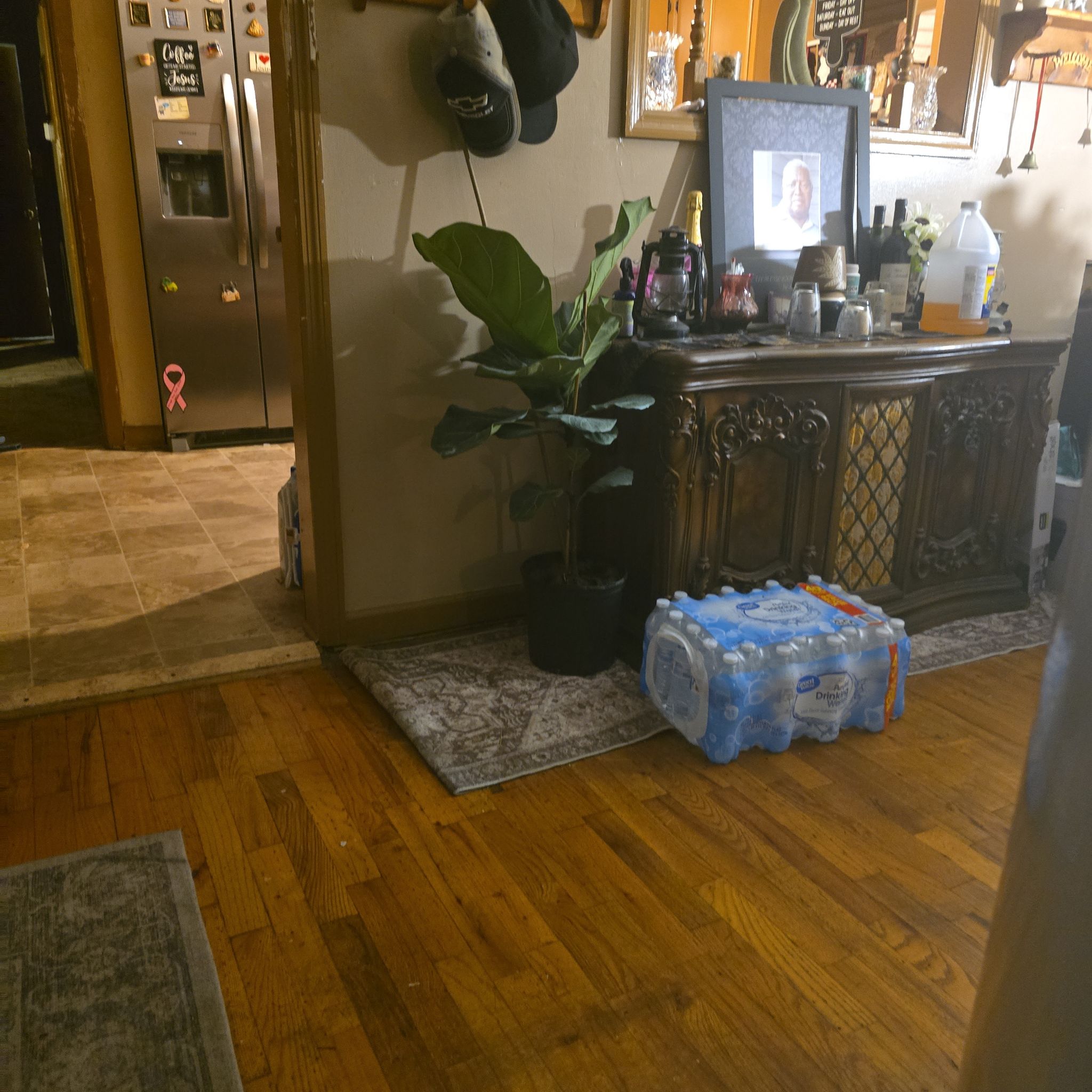 Photo of the plant species Variegated Fiddle Fig Leaf by @DaringlyAster5 named Keanu Leaves on Greg, the plant care app