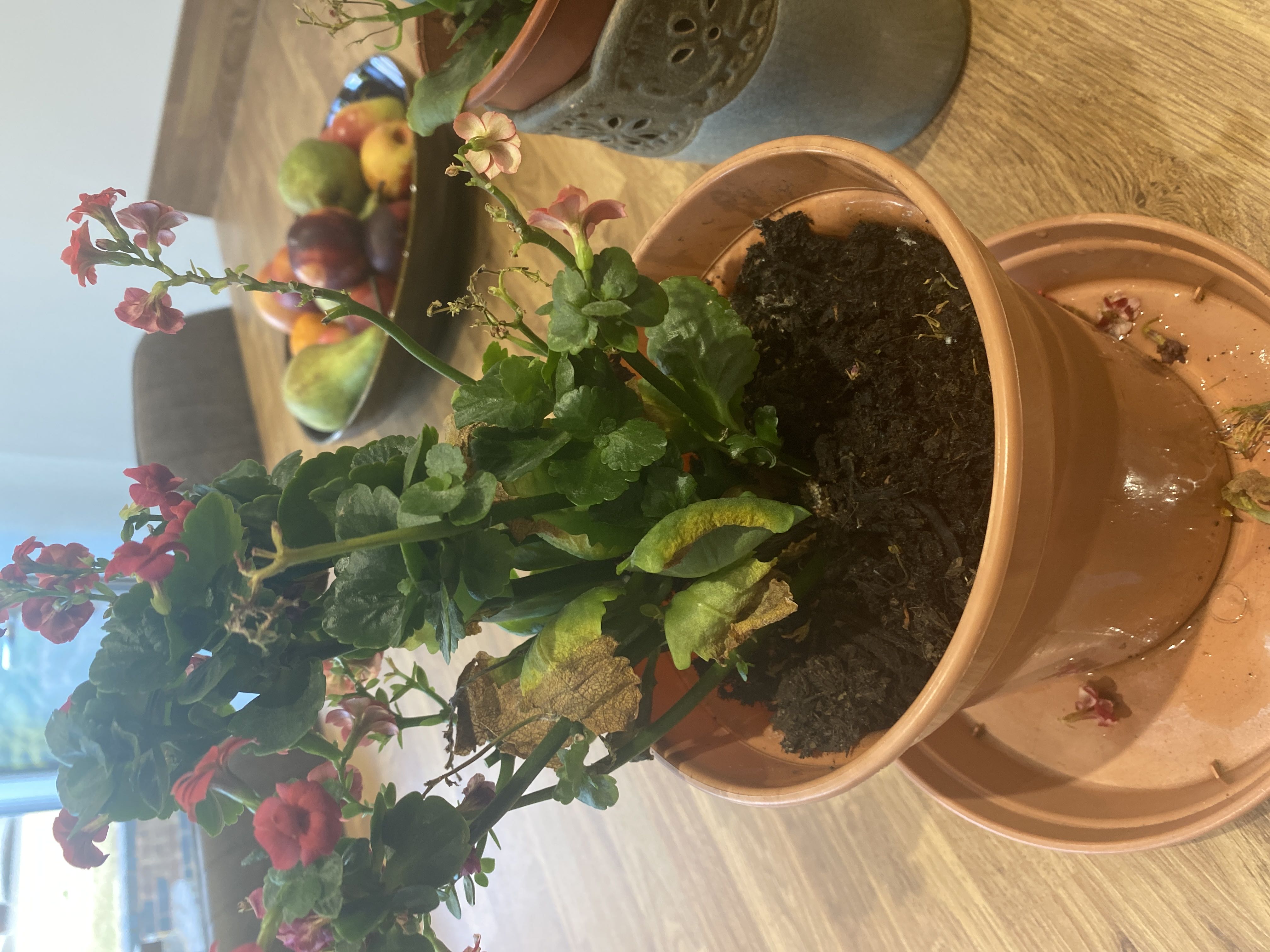 Photo from the post