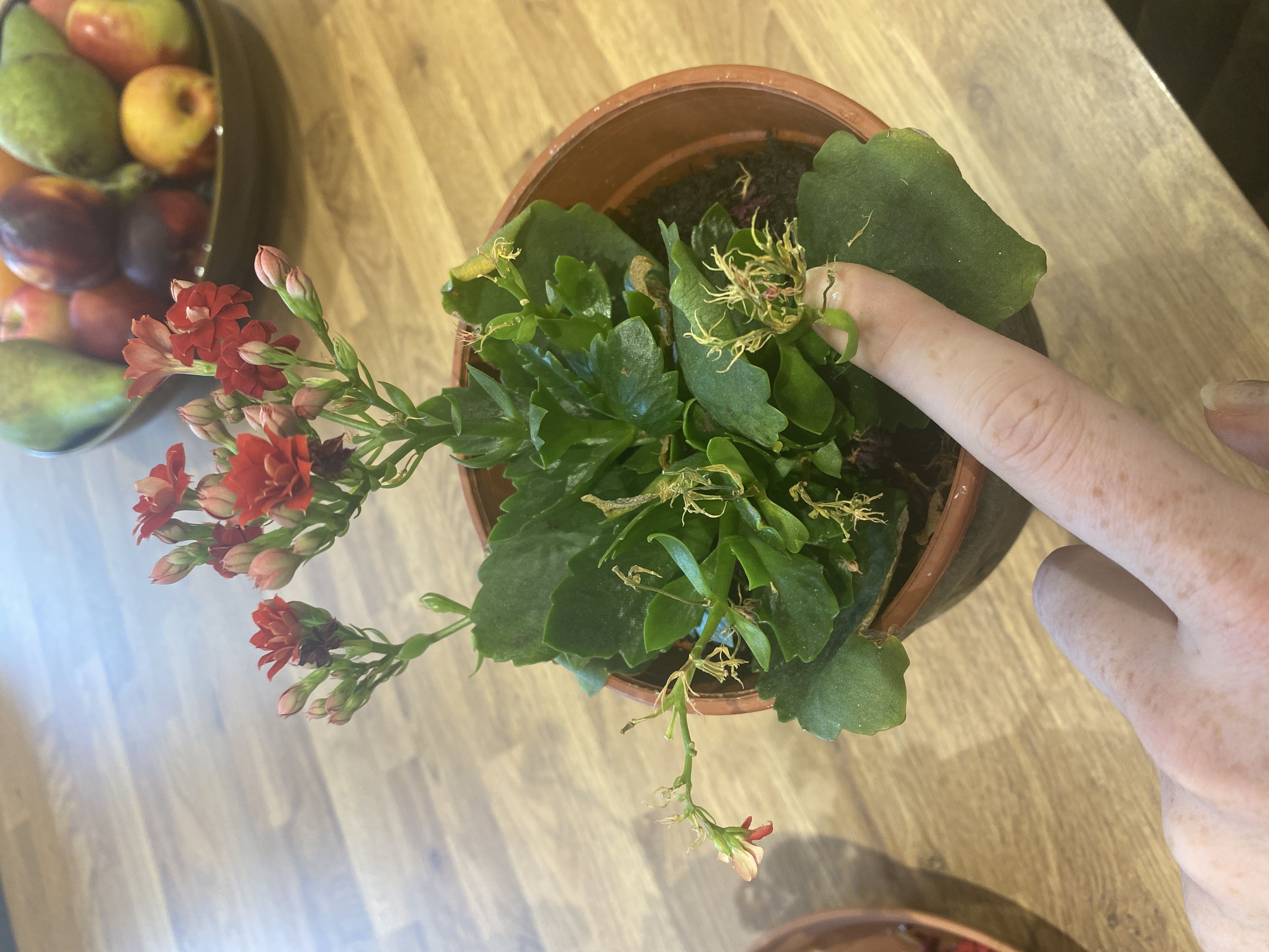 Photo from the post