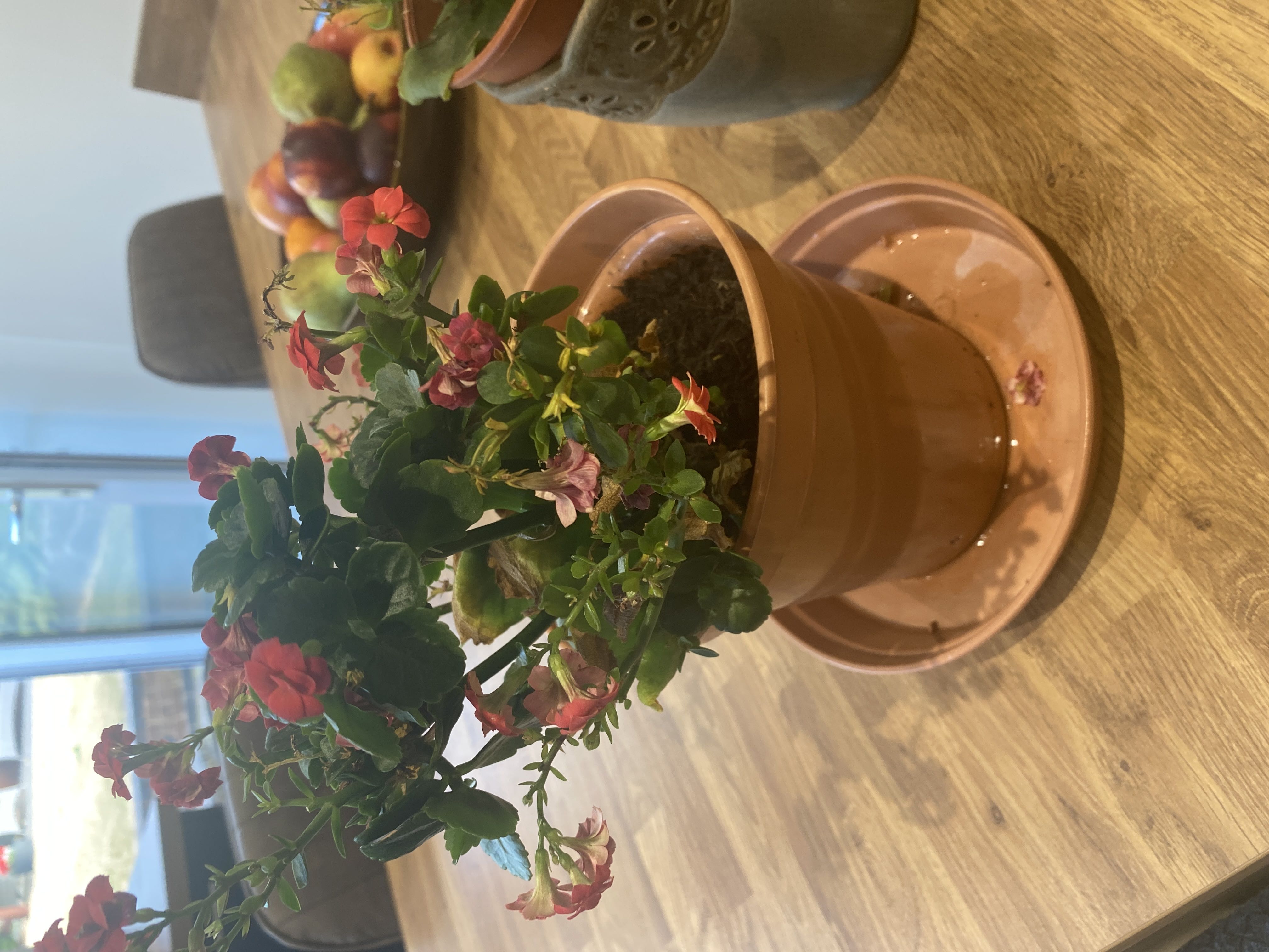 Photo from the post
