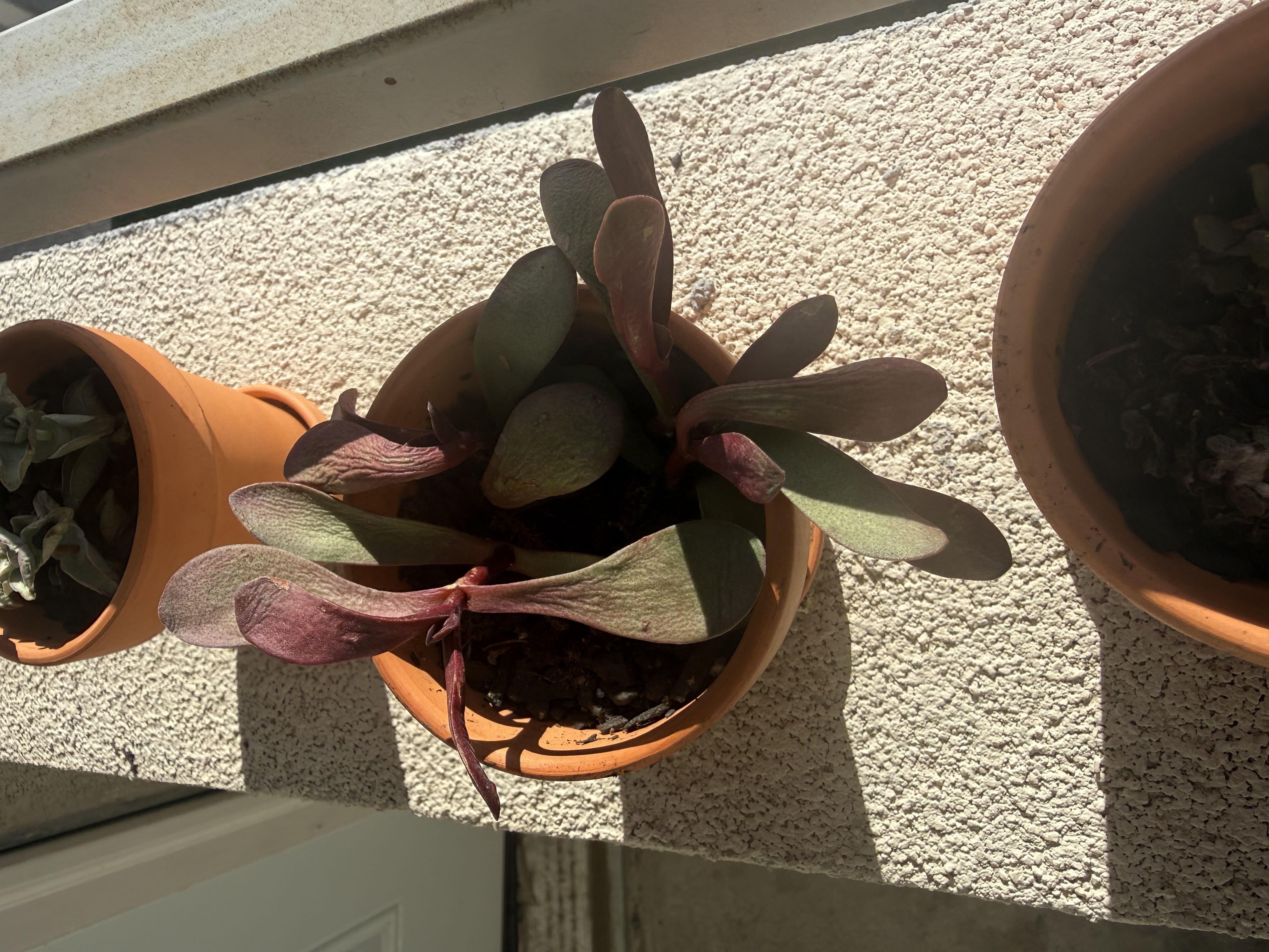 Photo from the post