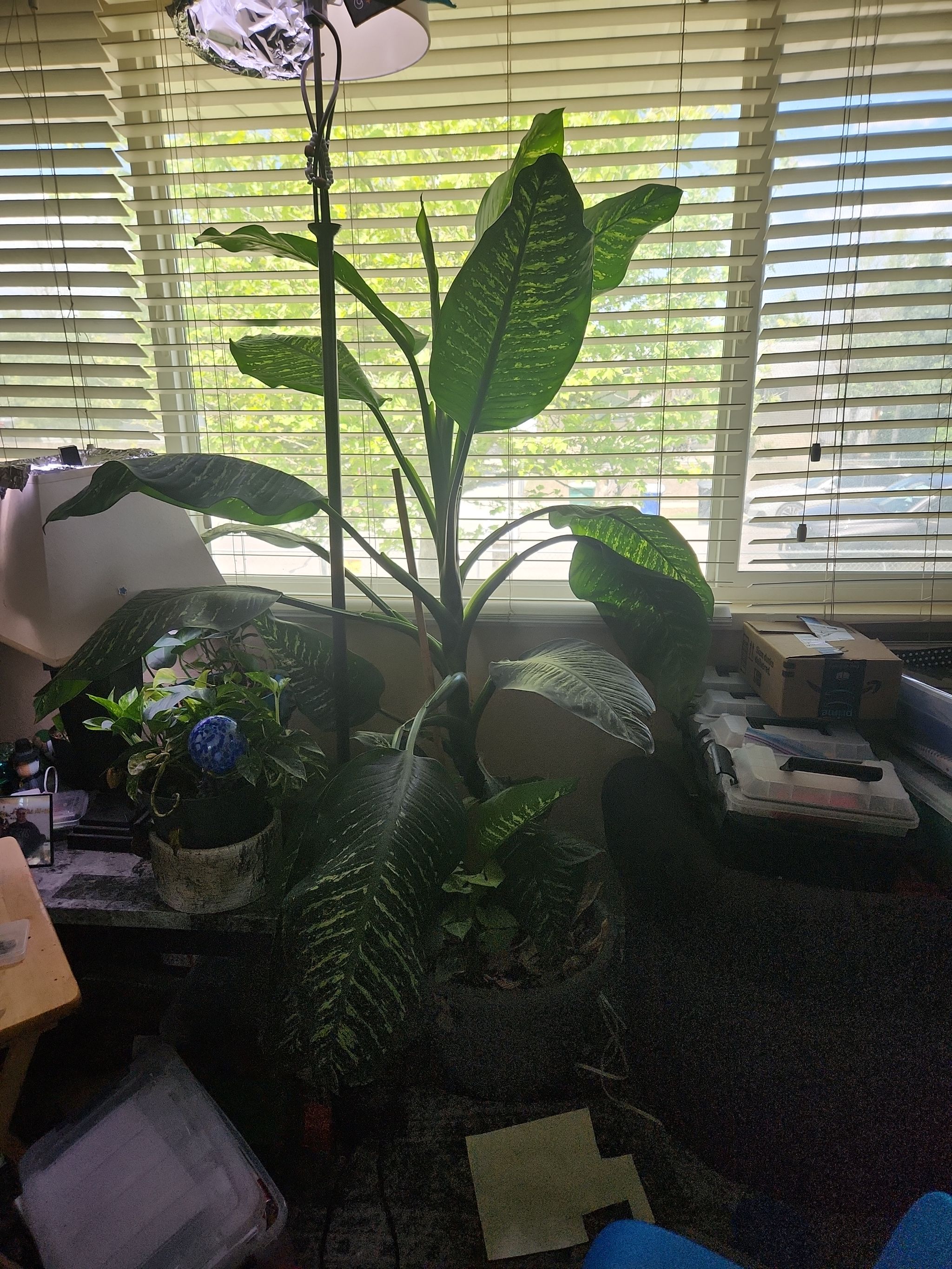 Photo from the post
