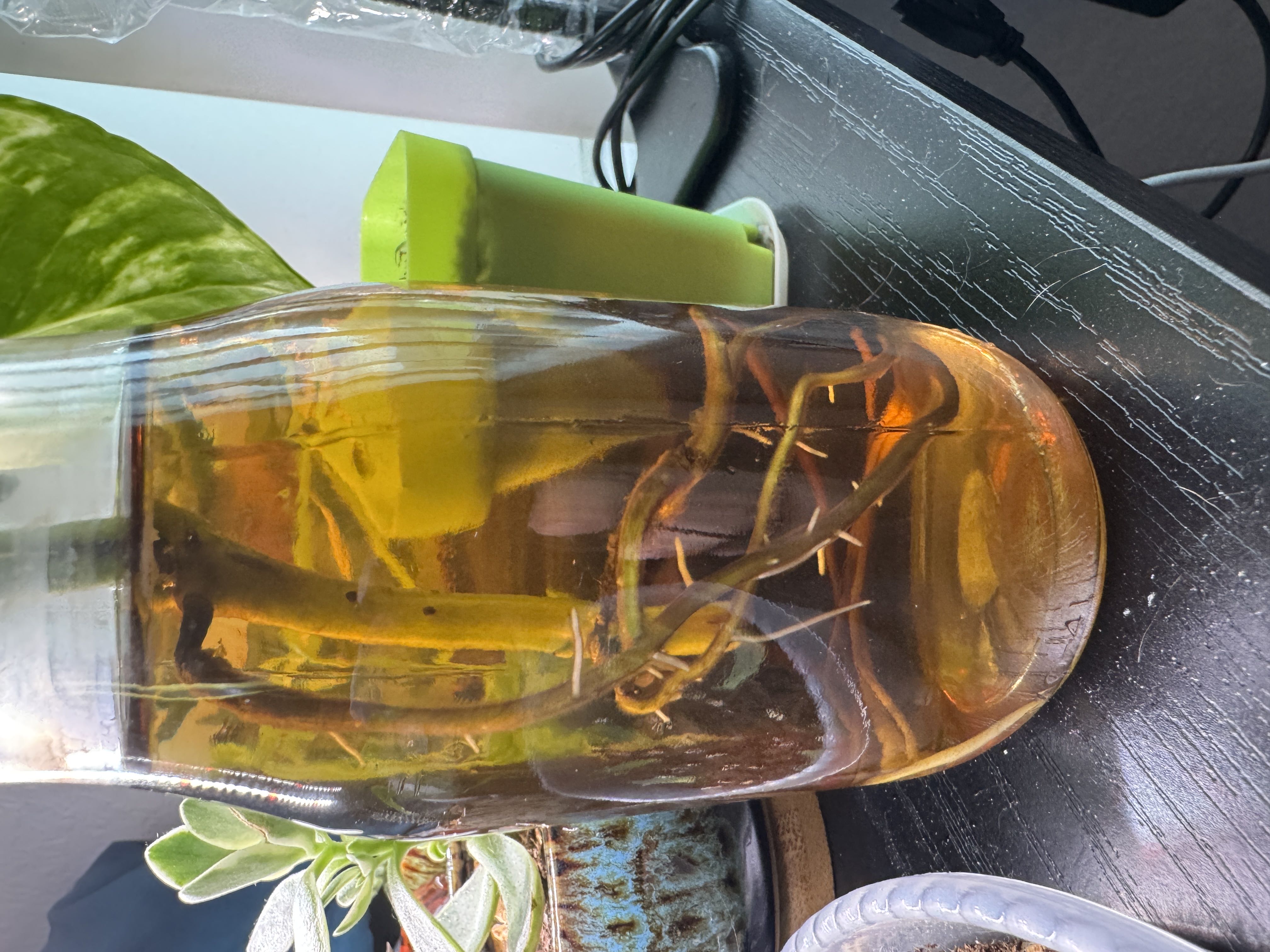 Photo from the post