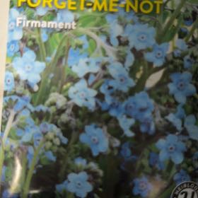Photo of the plant species Chinese Forget-Me-Not by @BriskTagetes90 named Maya on Greg, the plant care app
