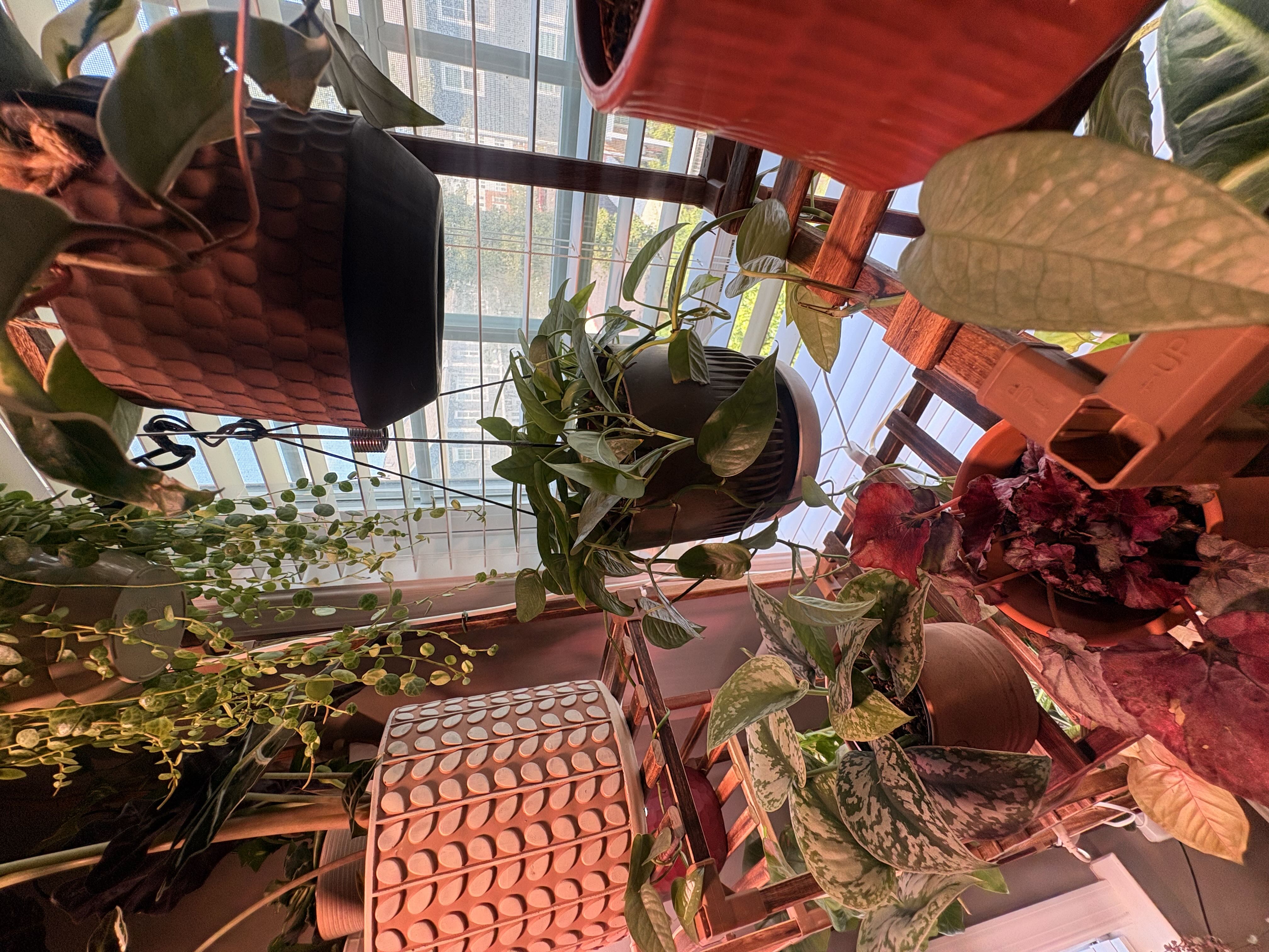 Photo from the post