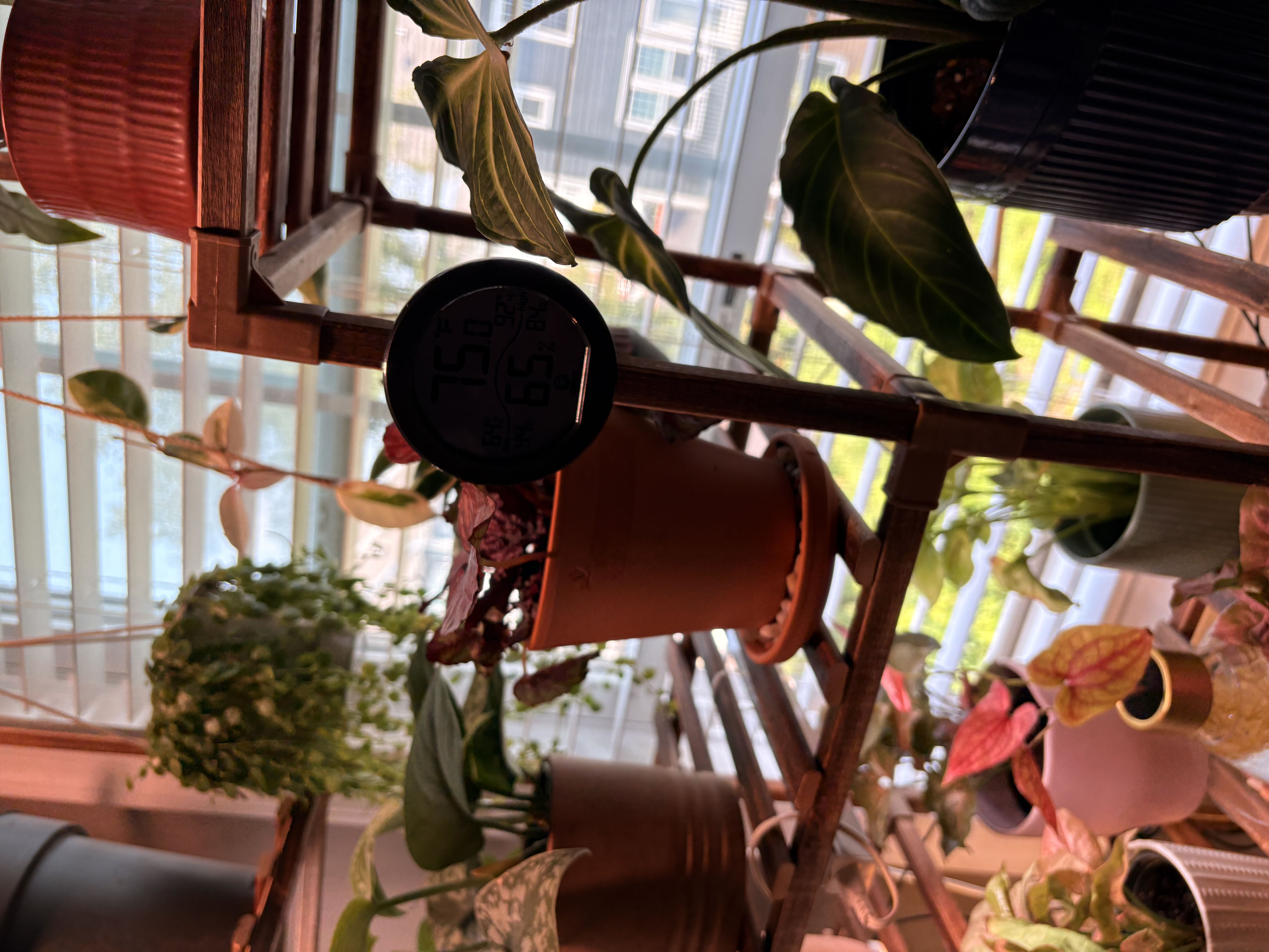 Photo from the post