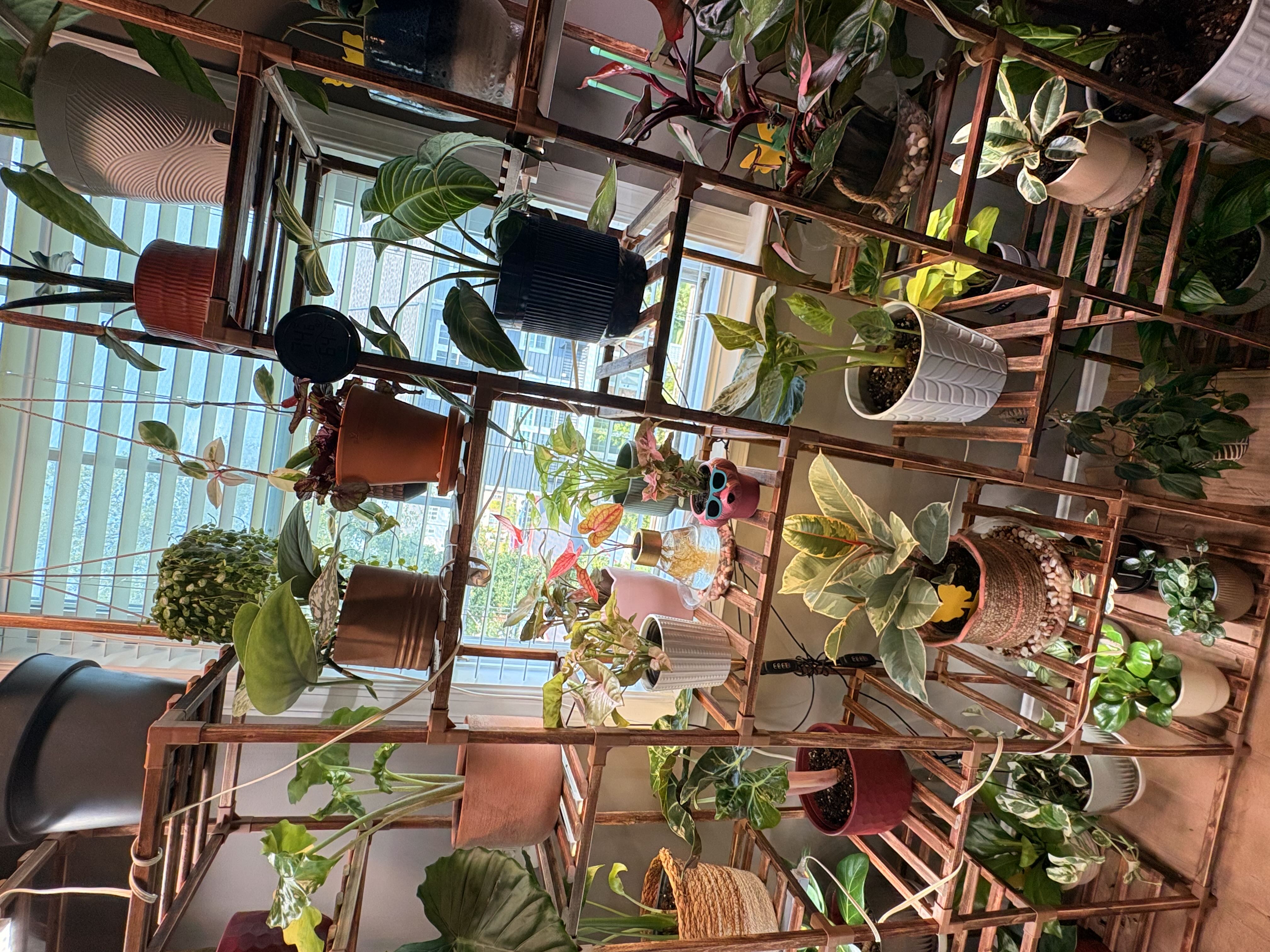 Photo from the post