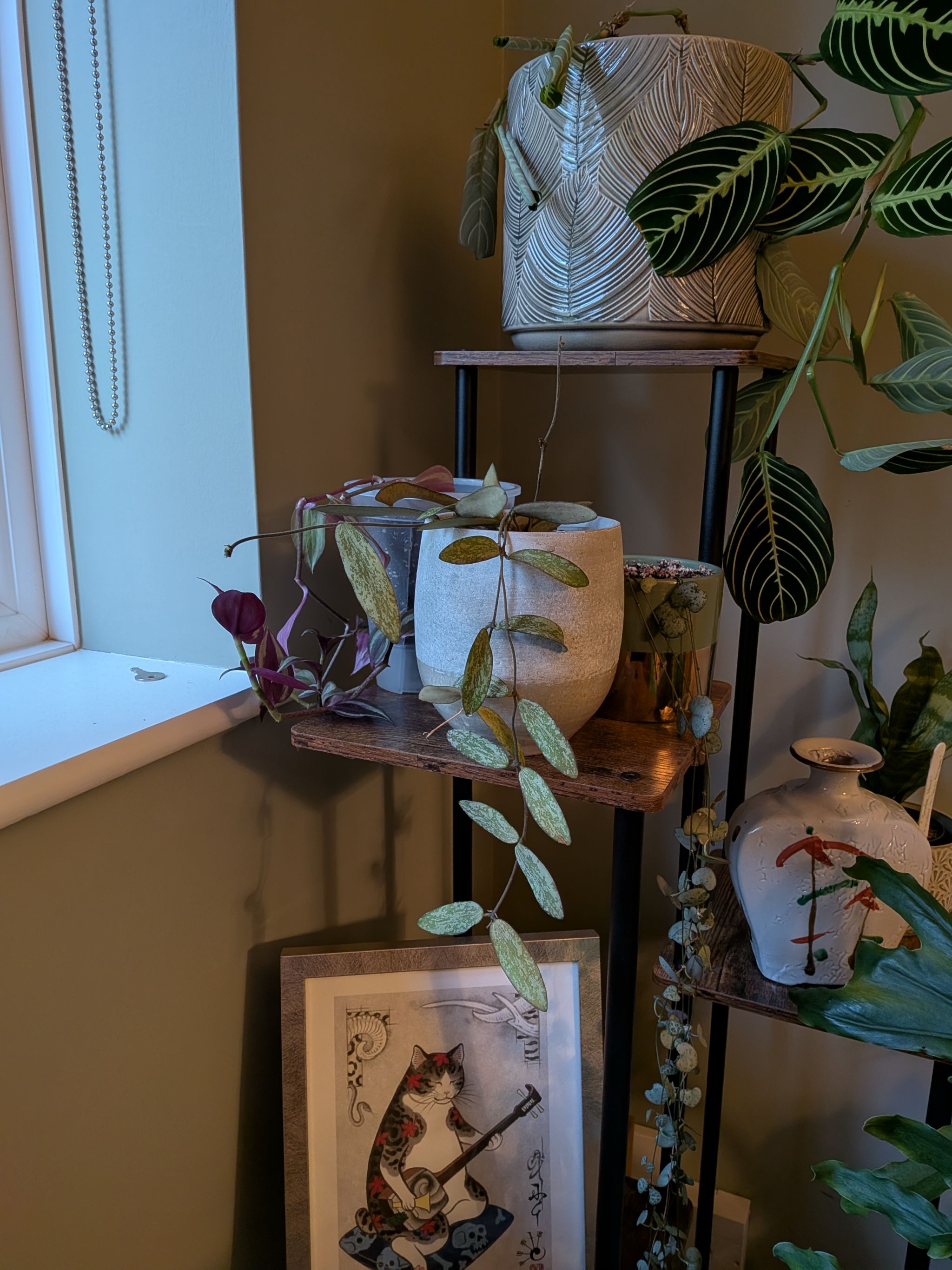 Photo from the post