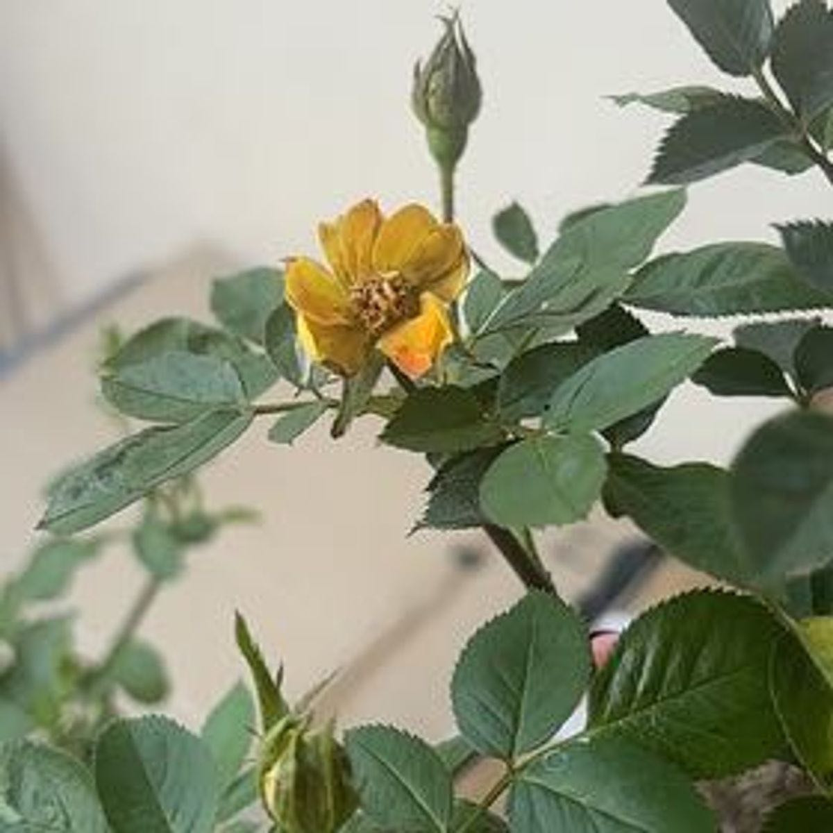 Photo from the post