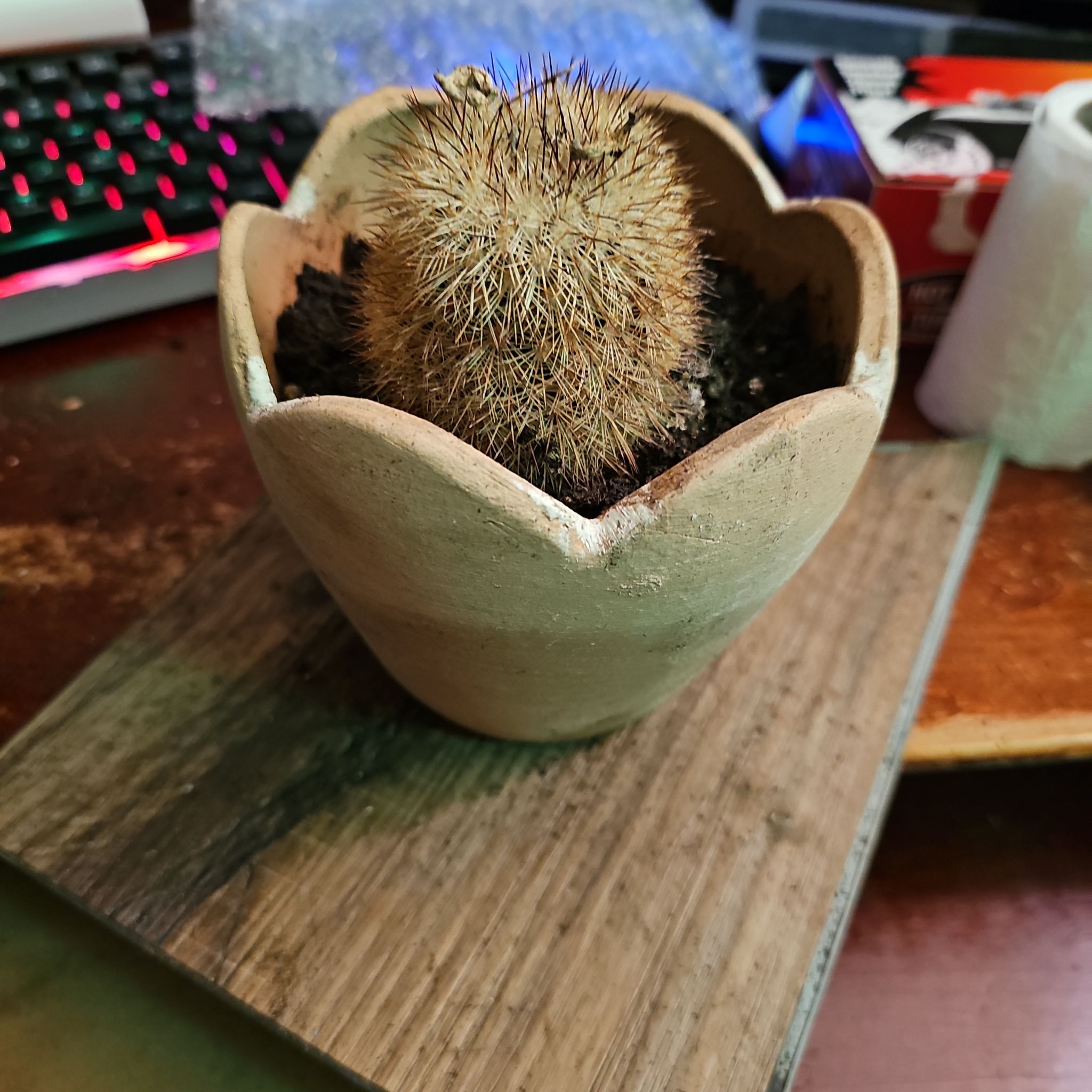 Poke