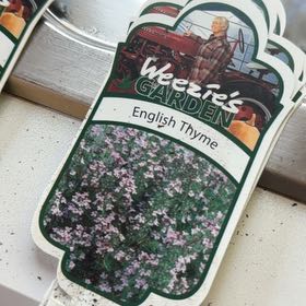 Photo of the plant species English Thyme by @JennyC named Tyme on Greg, the plant care app