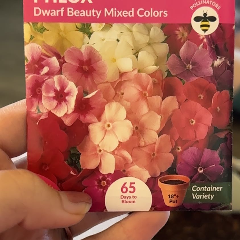 Photo of the plant species Garden Phlox by @LaineysMommy named Hamilton on Greg, the plant care app