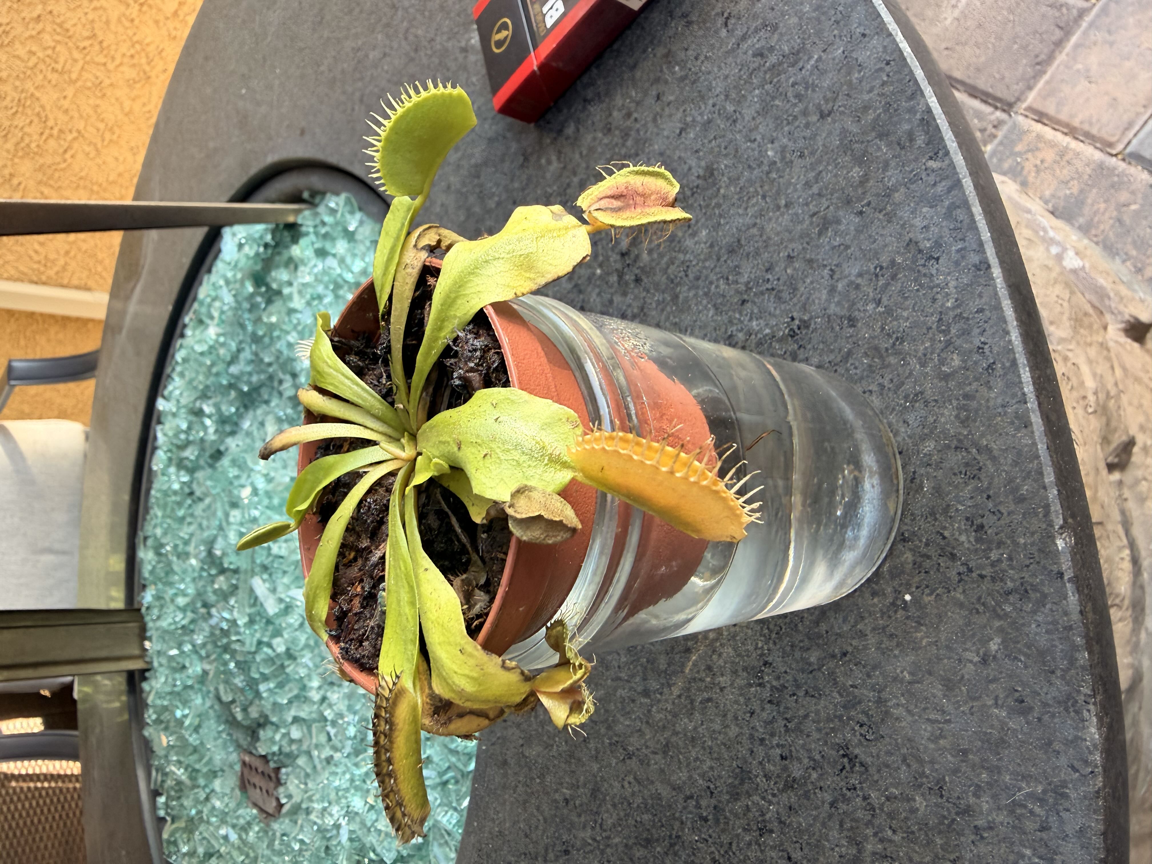 Photo from the post
