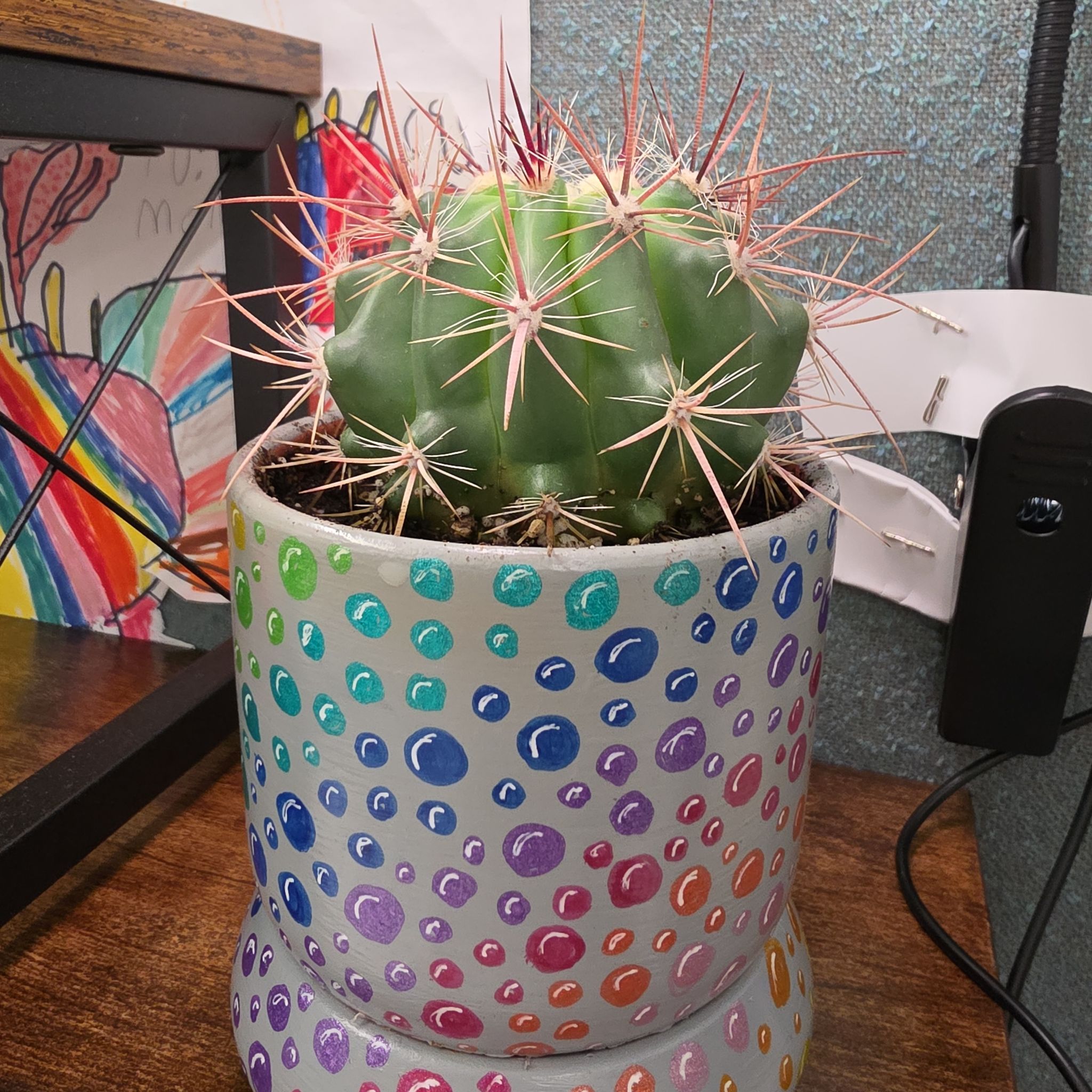 Photo of the plant species Fire Barrel Cactus by @MiraclePokaka named M.C. Hammer on Greg, the plant care app