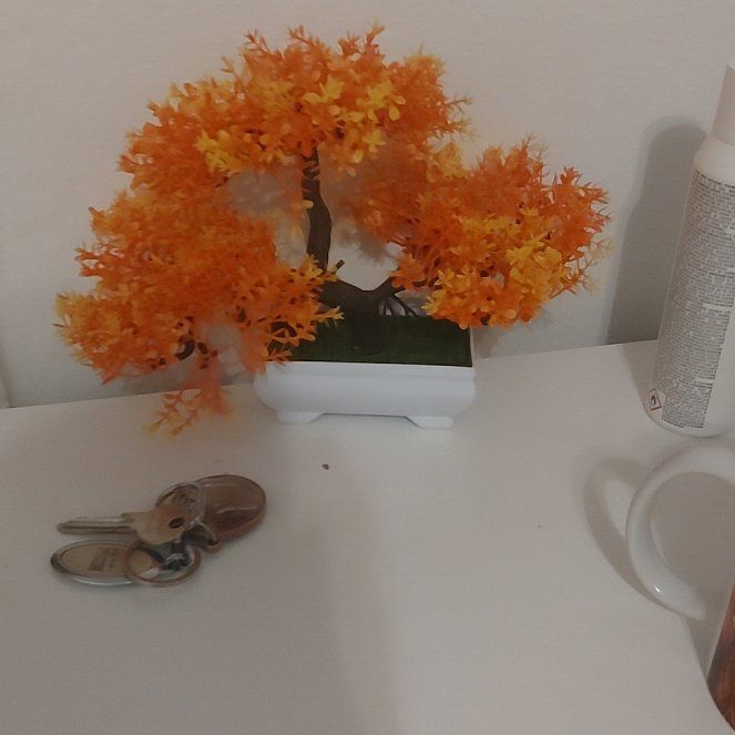Photo of the plant species Flame Azalea by @QuirkyBasil91 named Pax on Greg, the plant care app