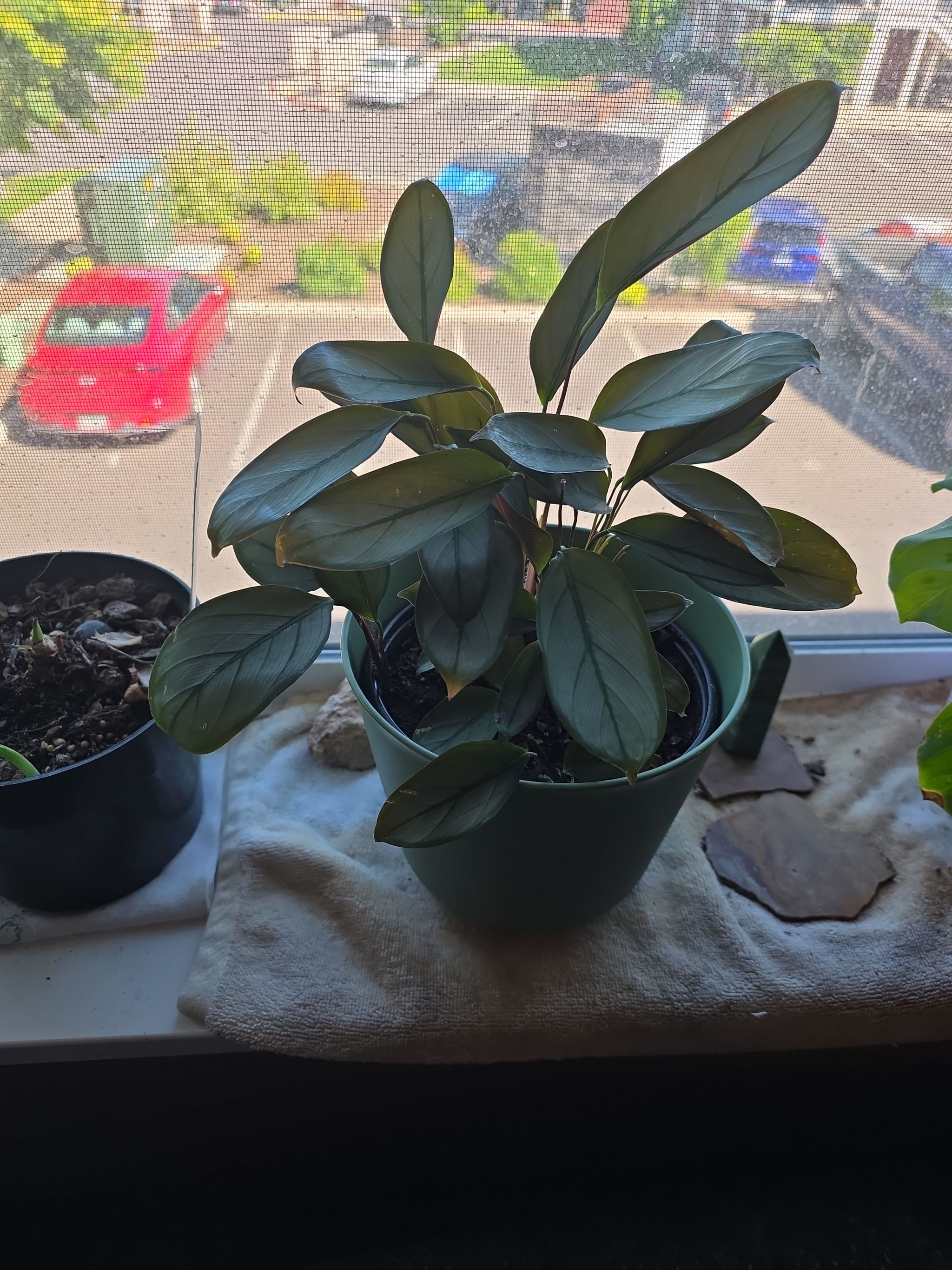 Photo from the post