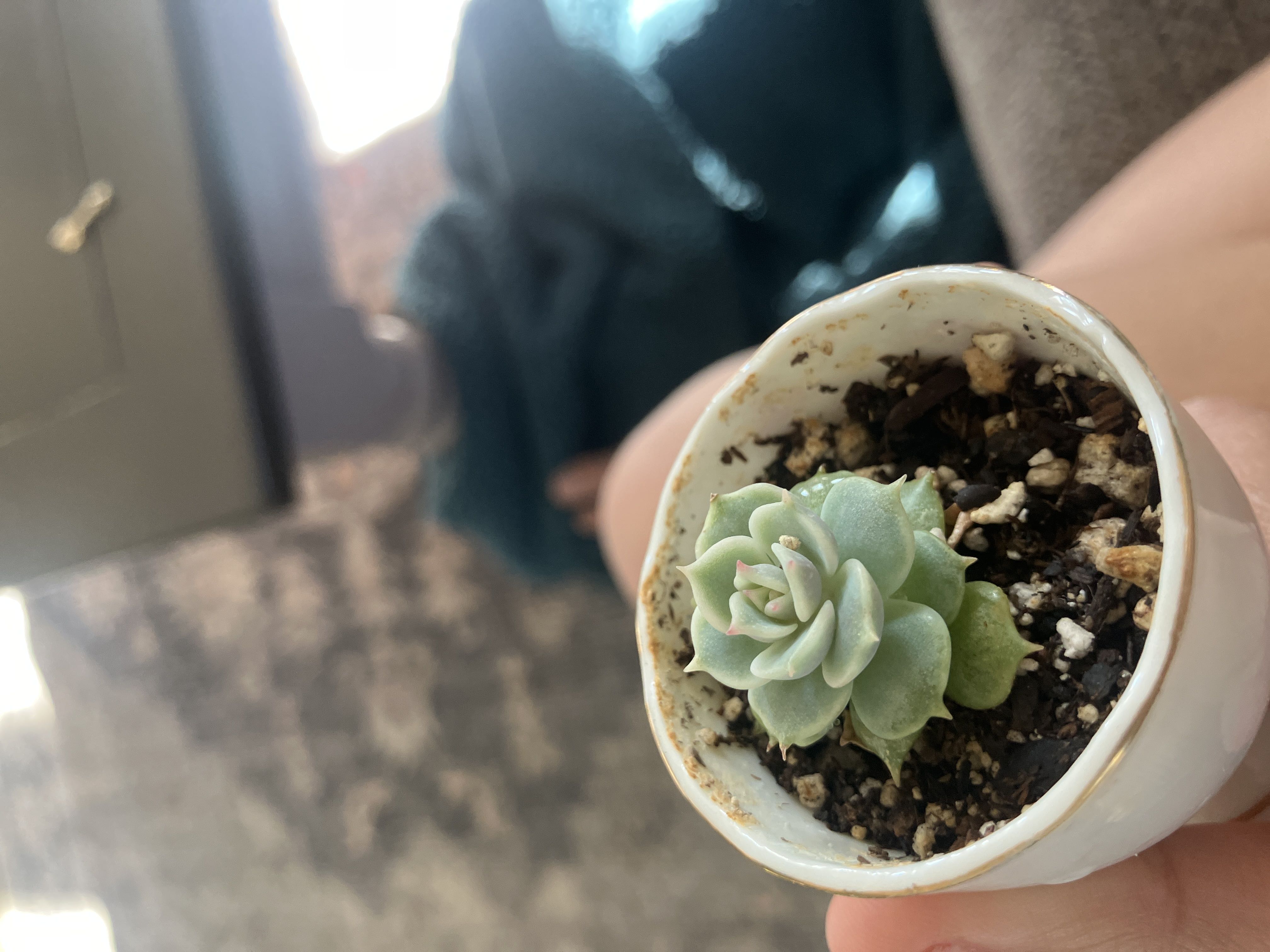 Photo from the post