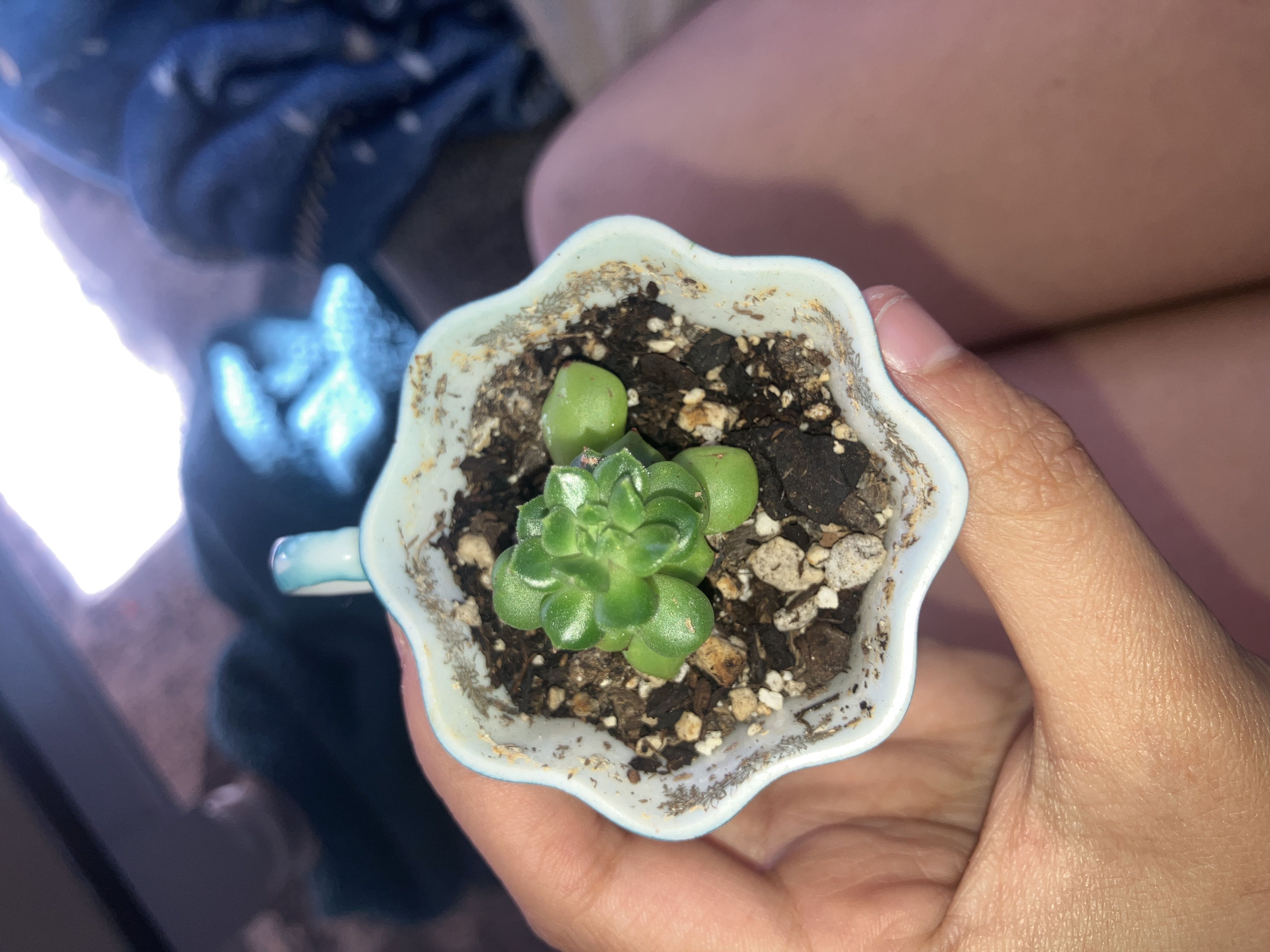 Photo from the post