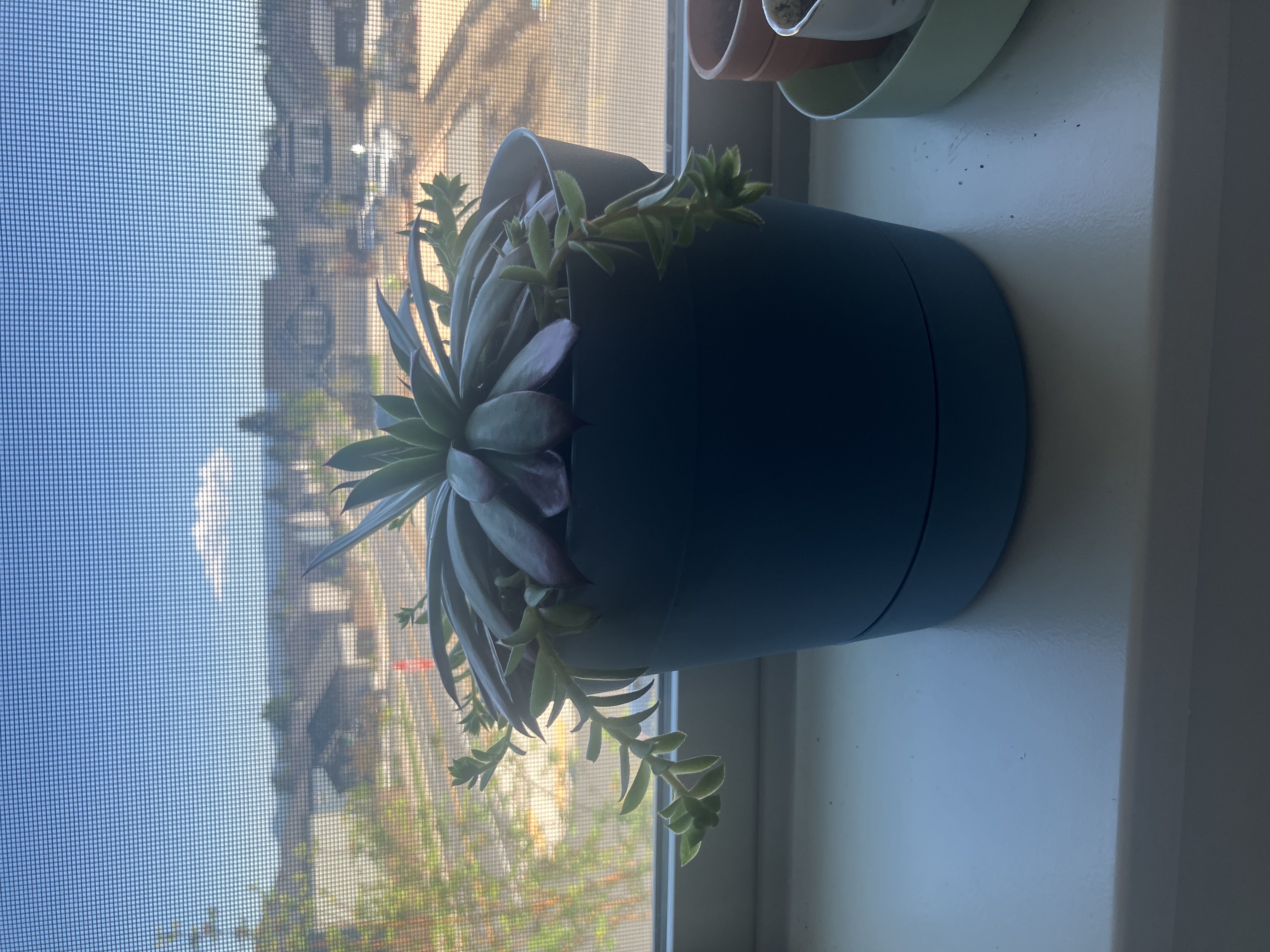 Photo from the post