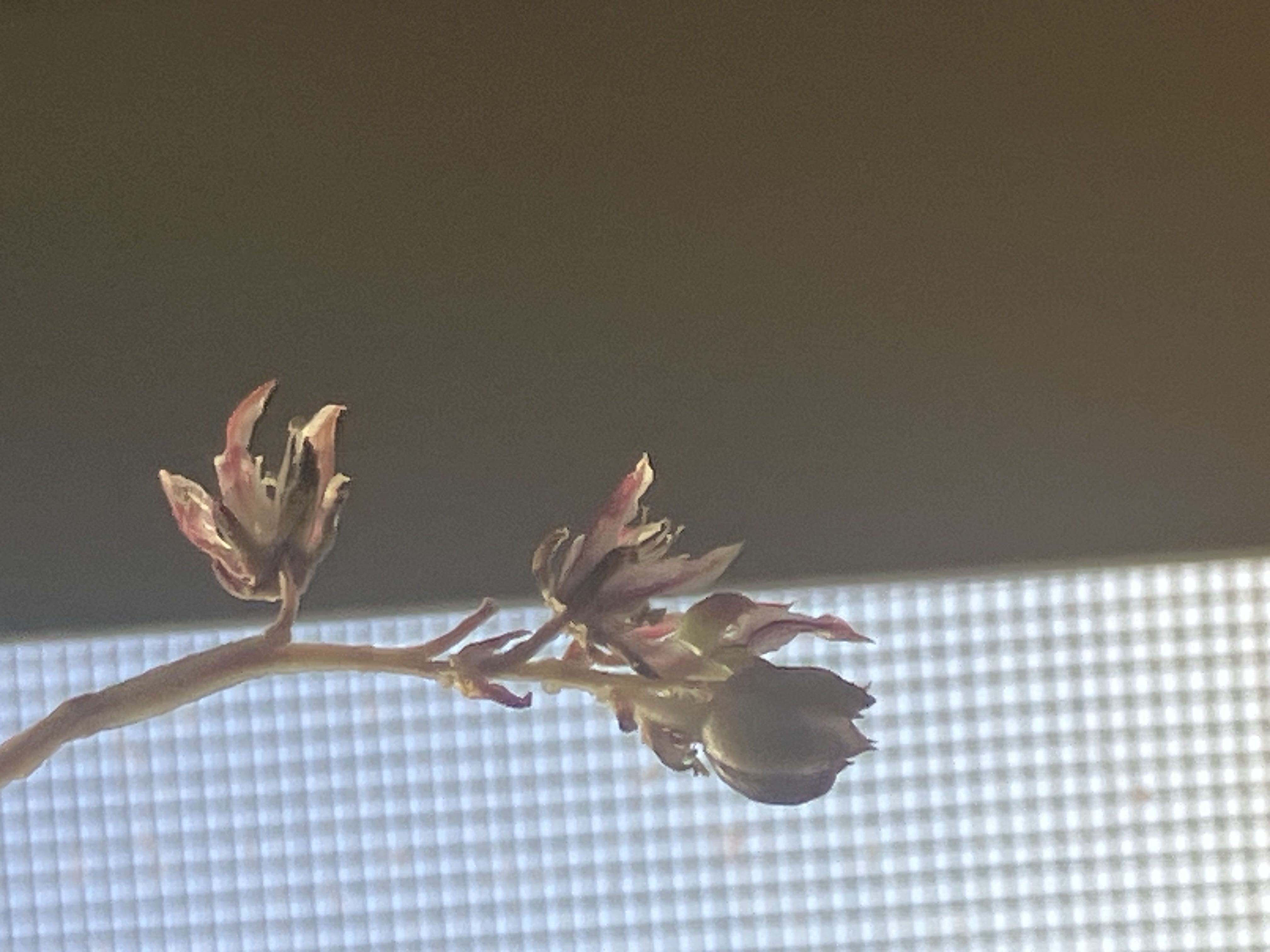 Photo from the post