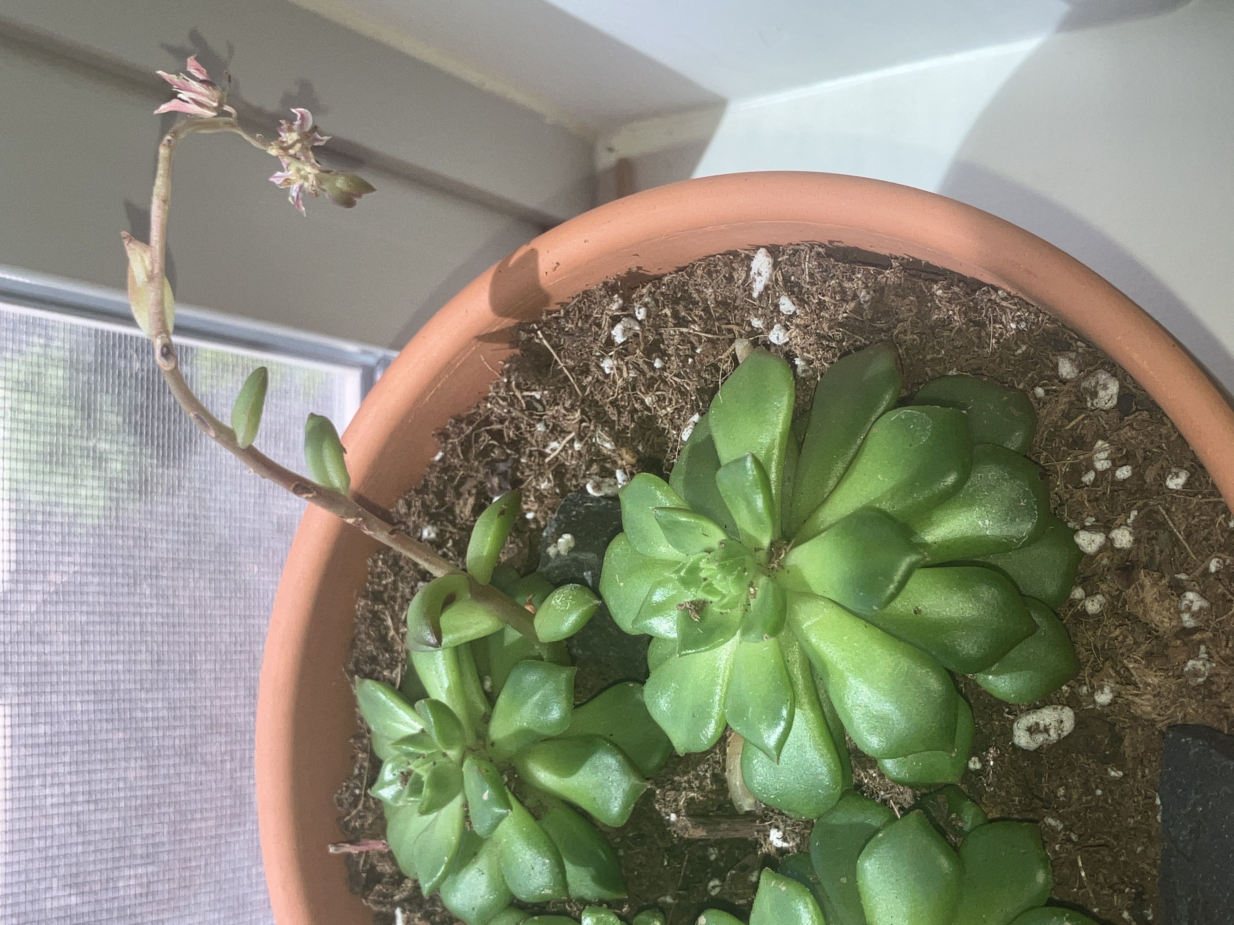 Photo from the post