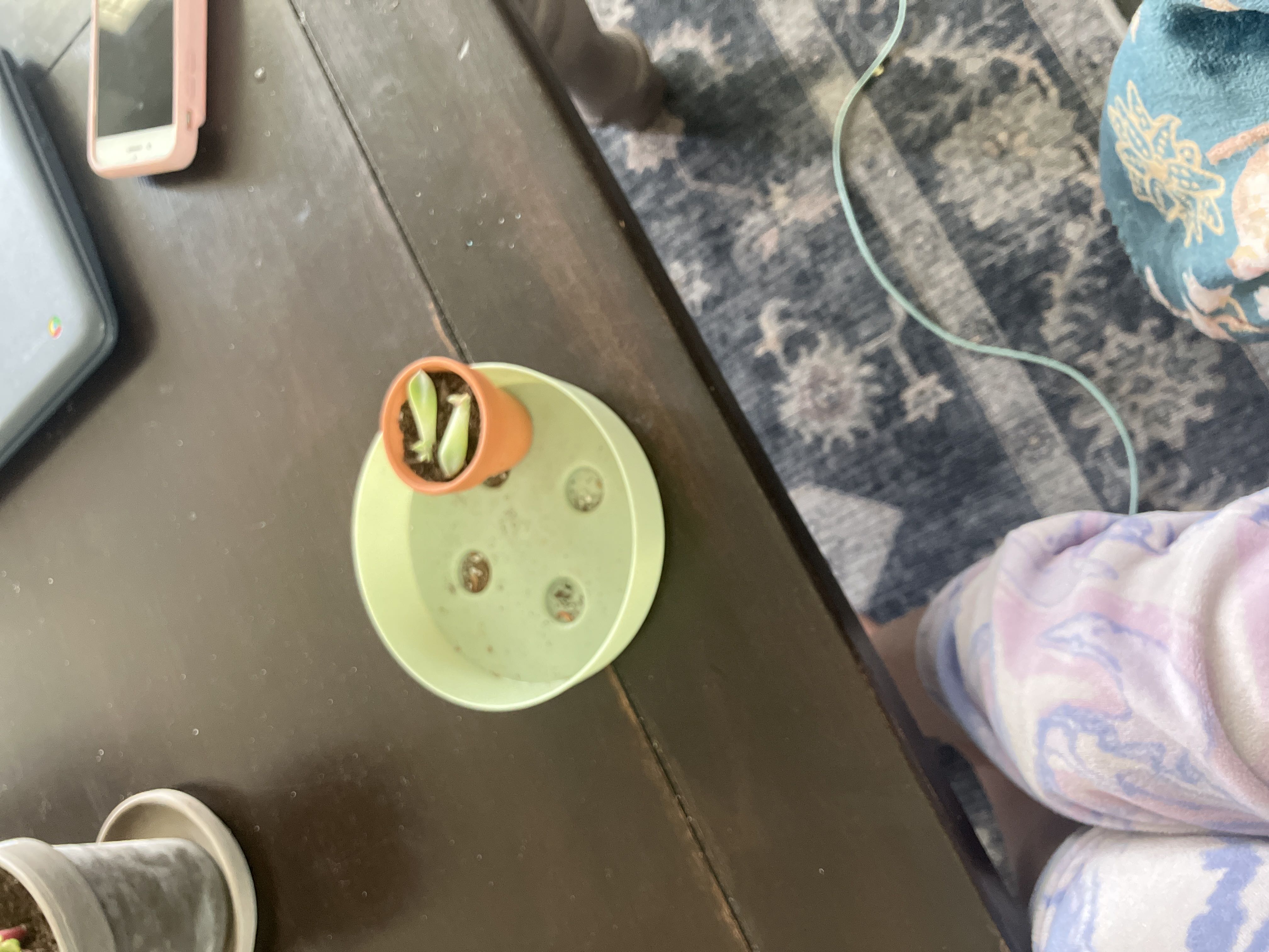 Photo from the post