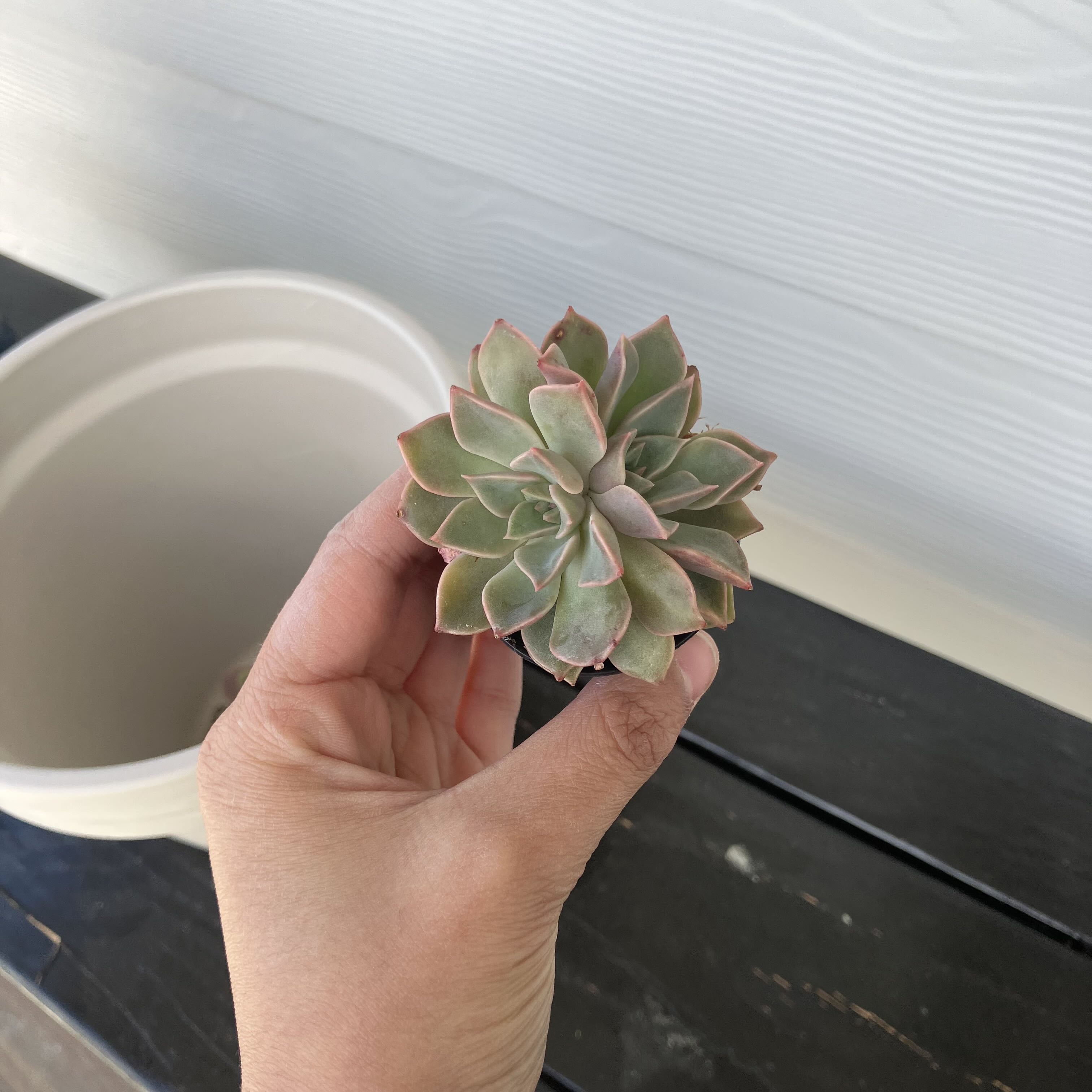Photo from the post