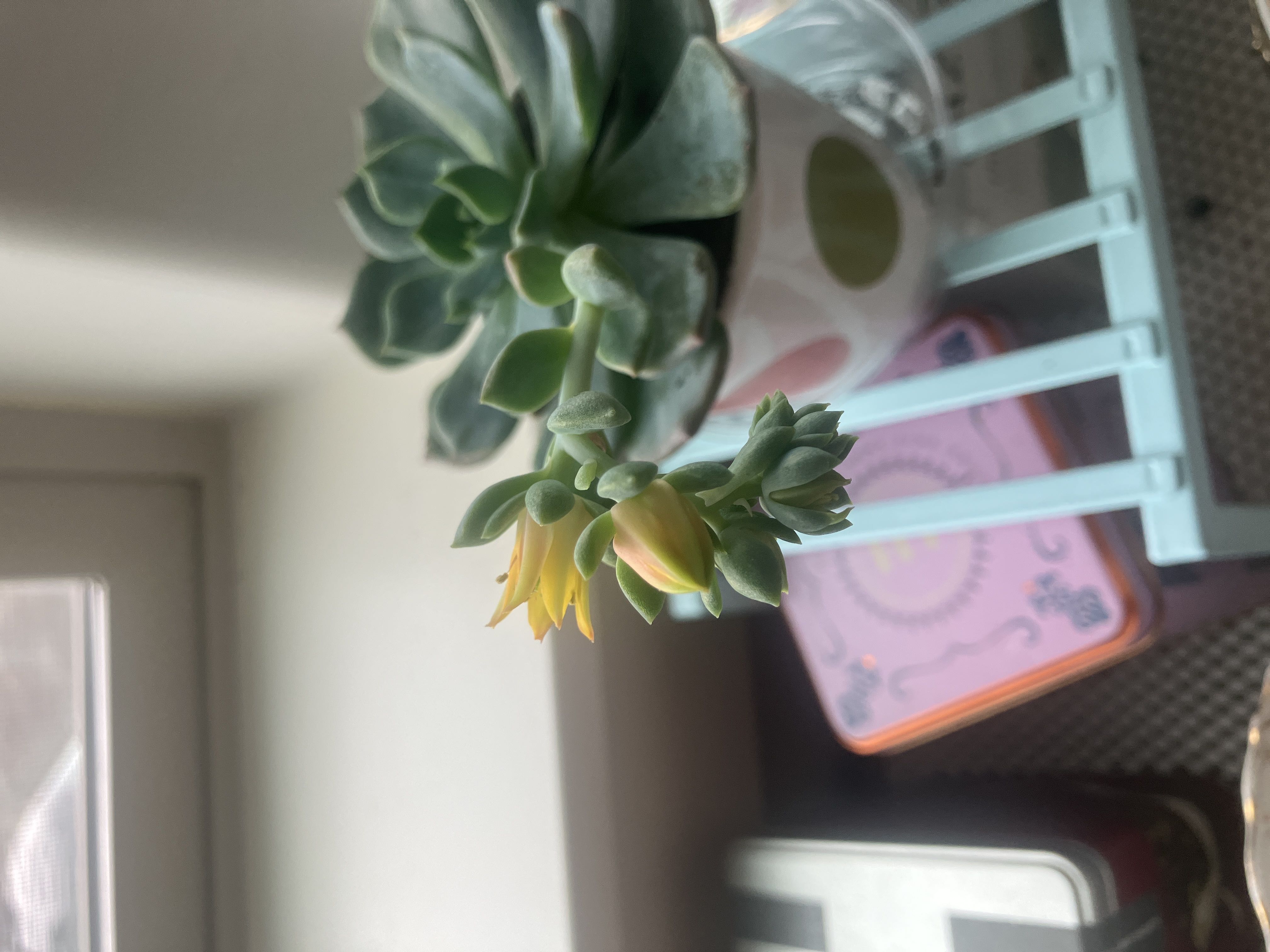 Photo from the post