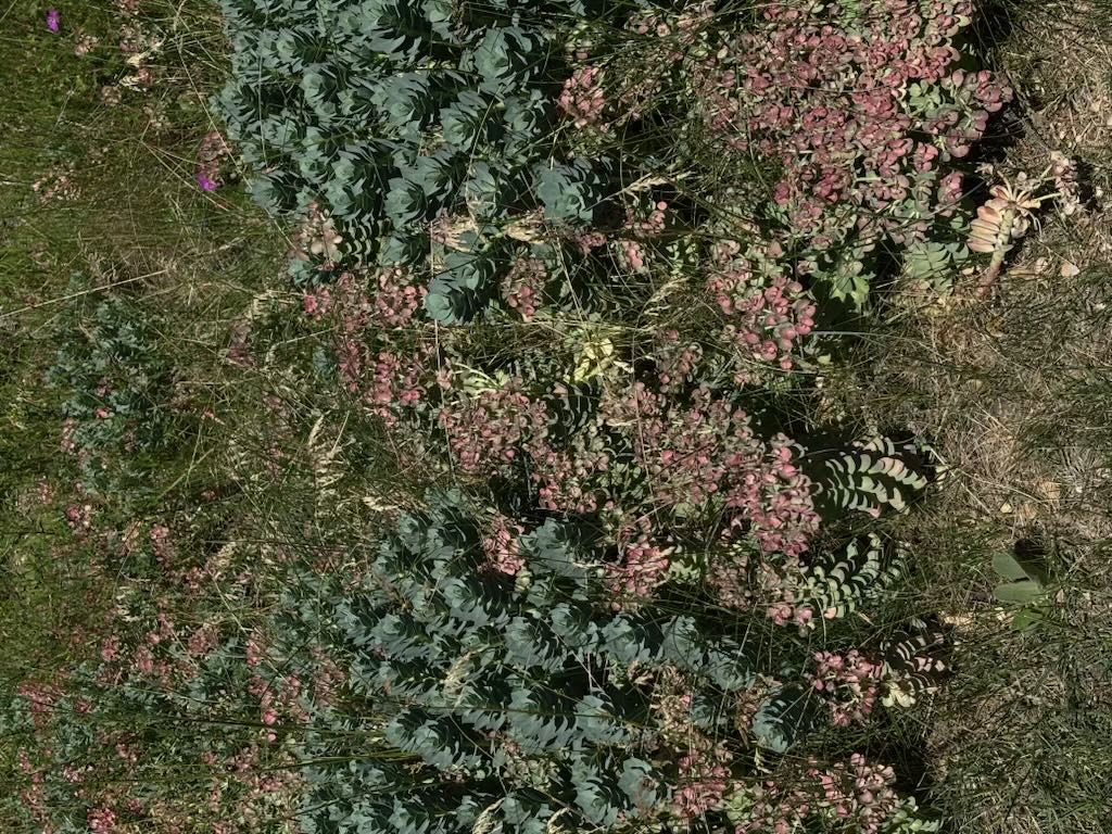 Photo from the post