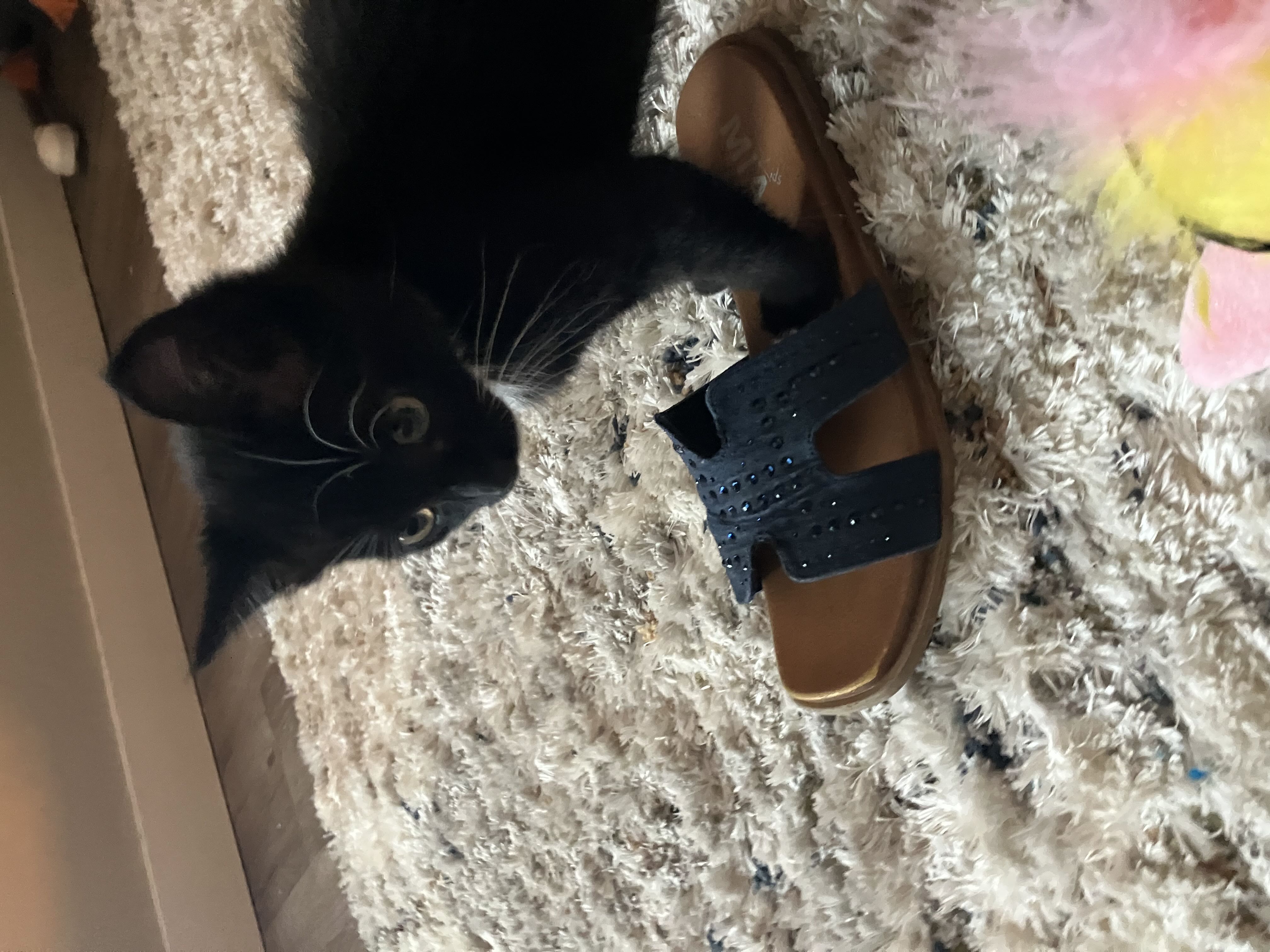 Photo from the post