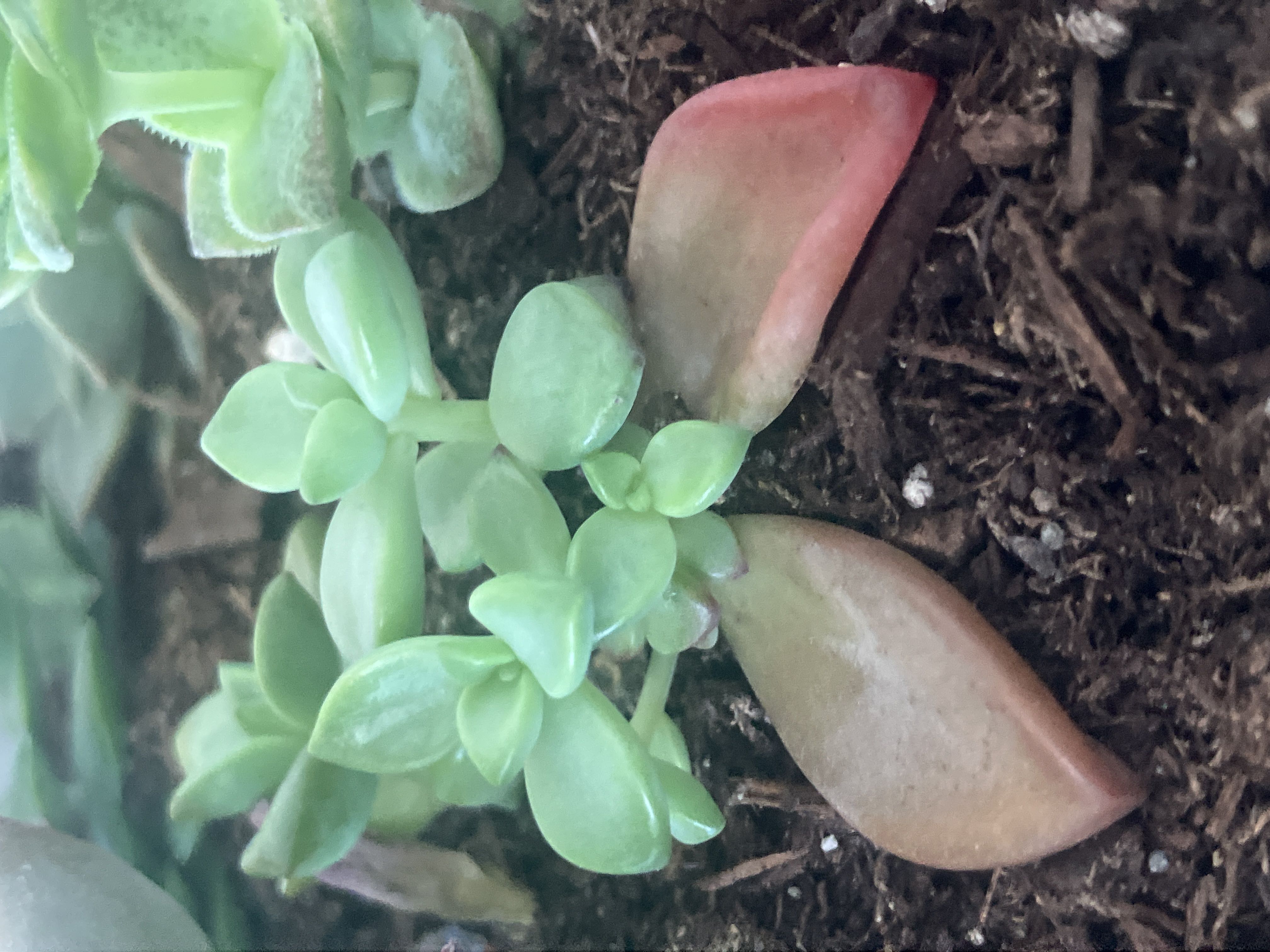 Photo from the post