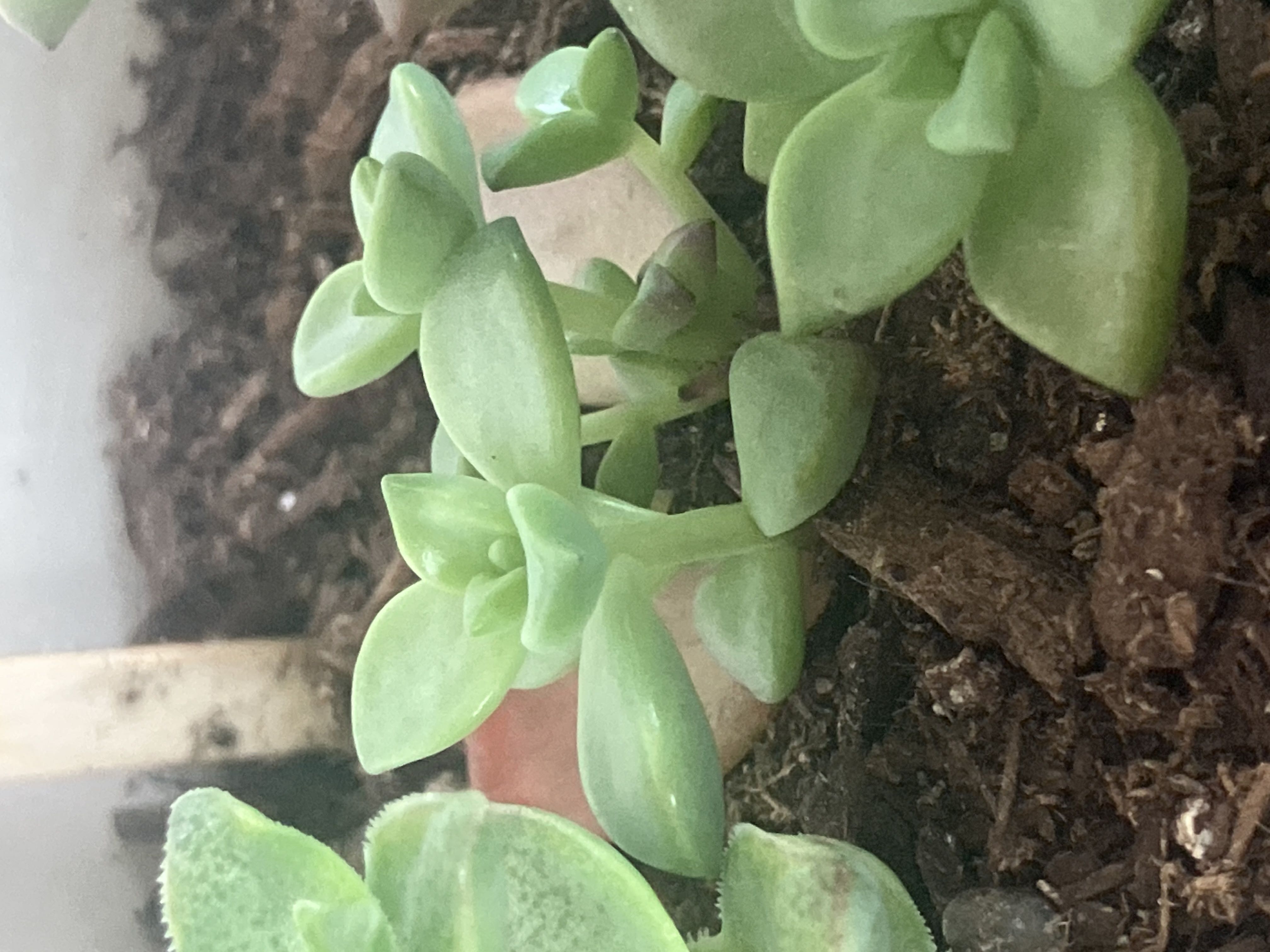 Photo from the post