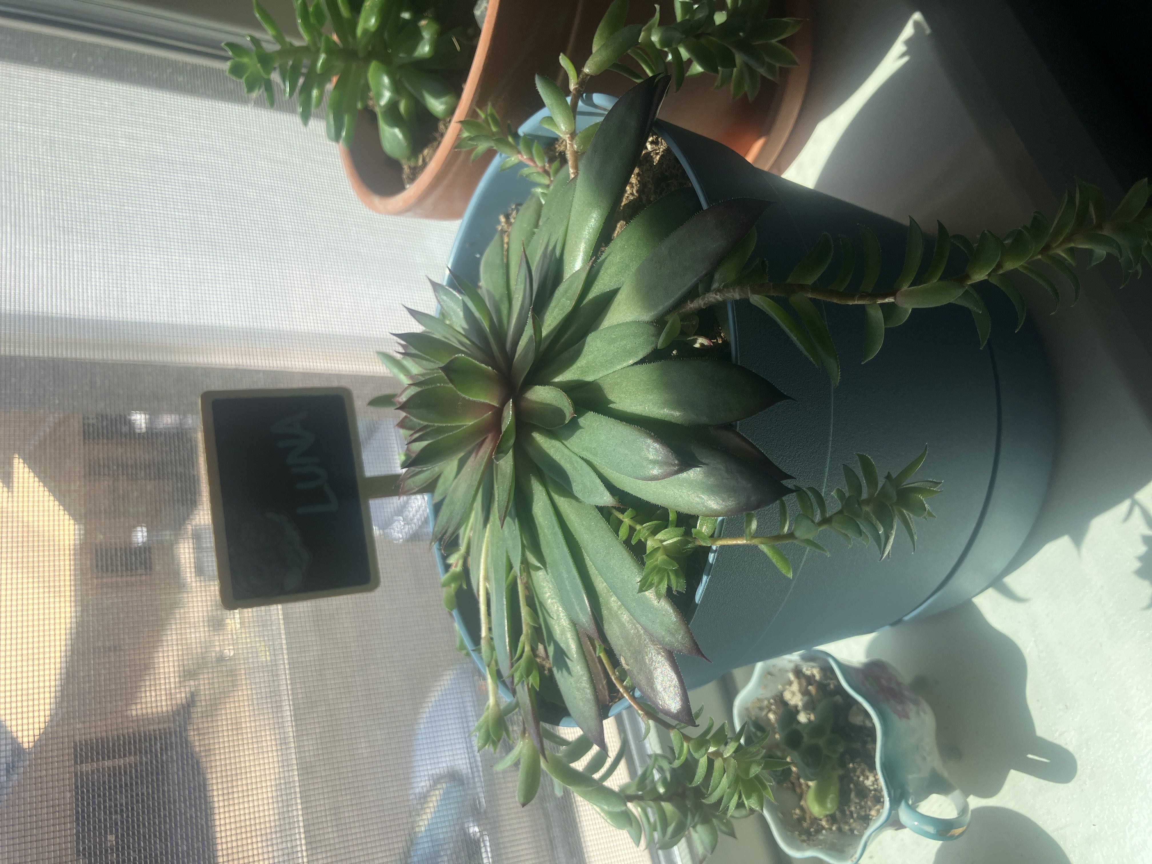 Photo from the post