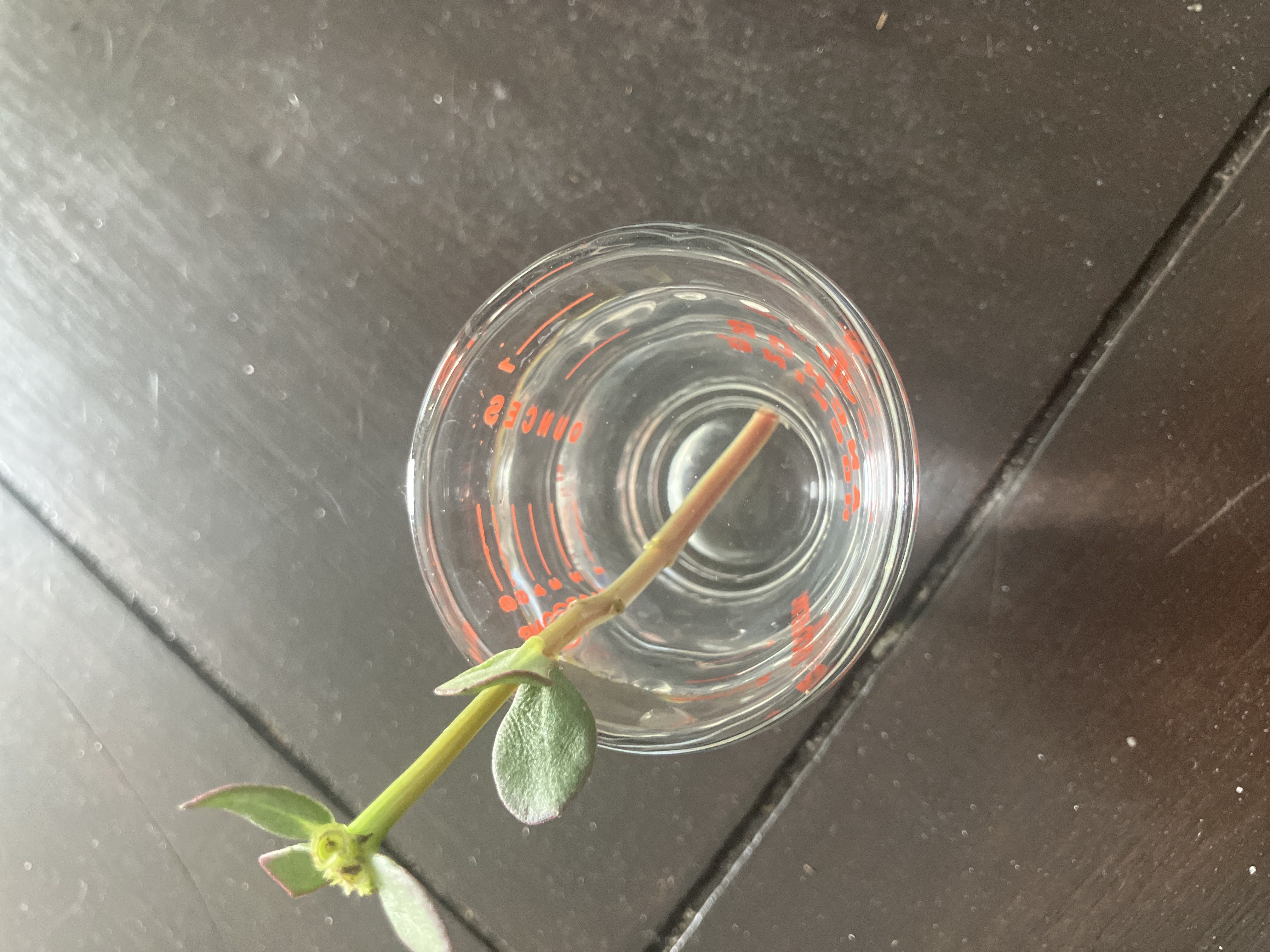 Photo from the post