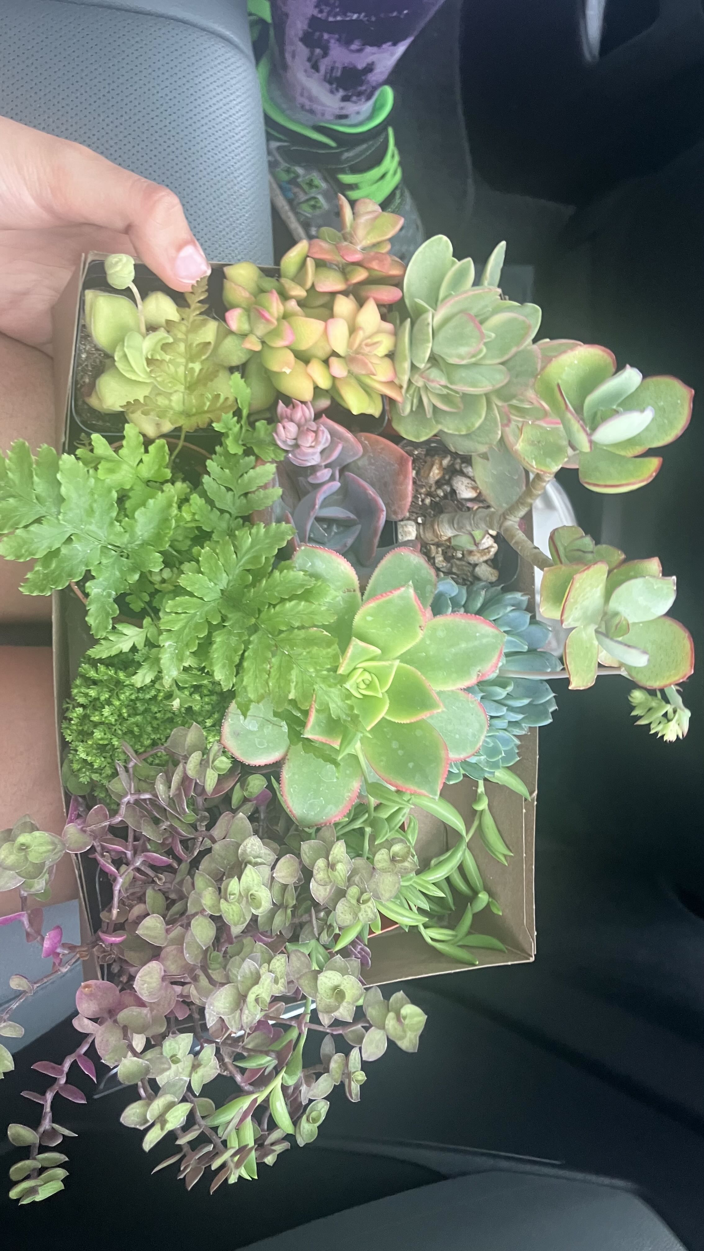 Photo from the post