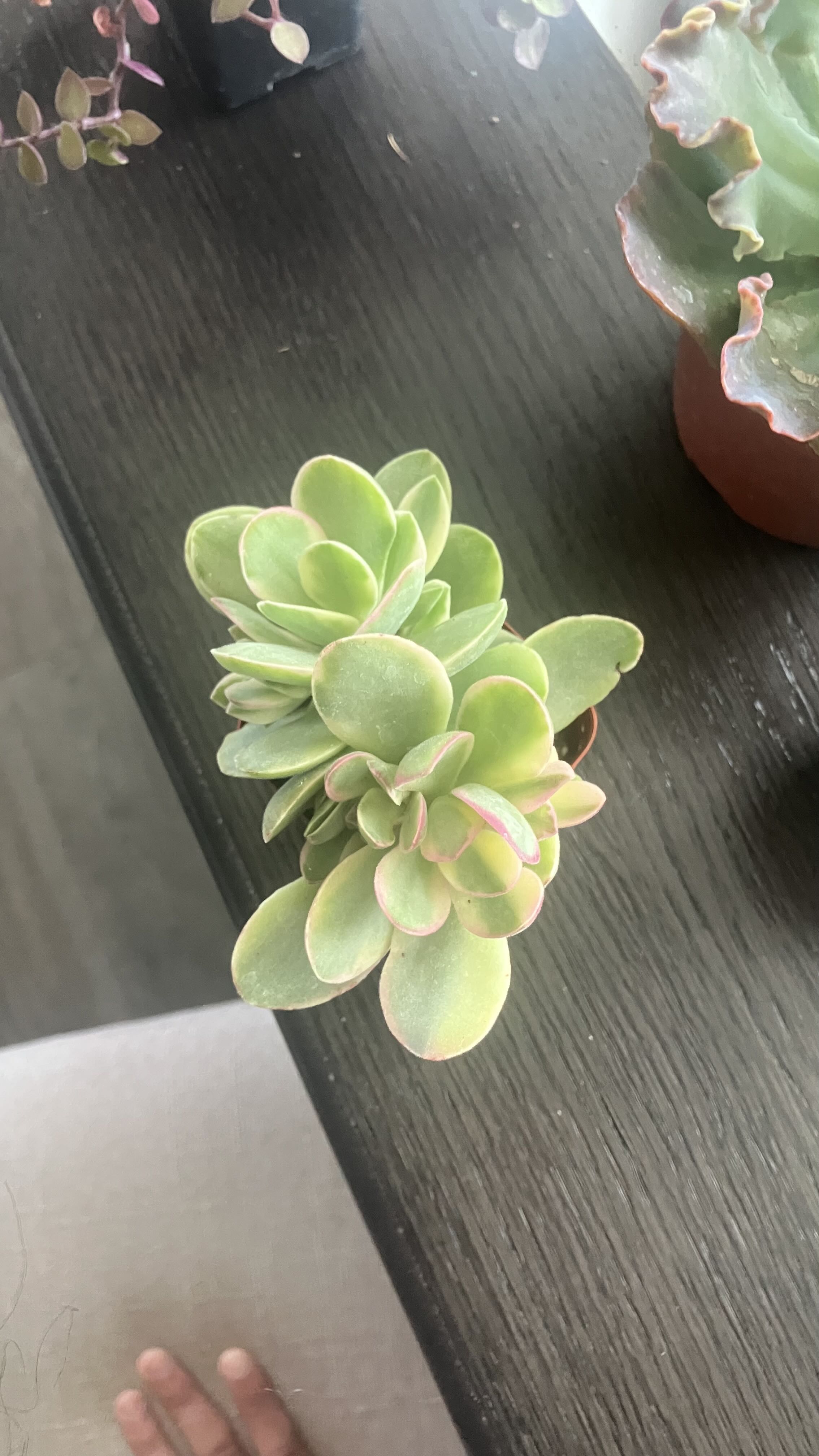 Photo from the post