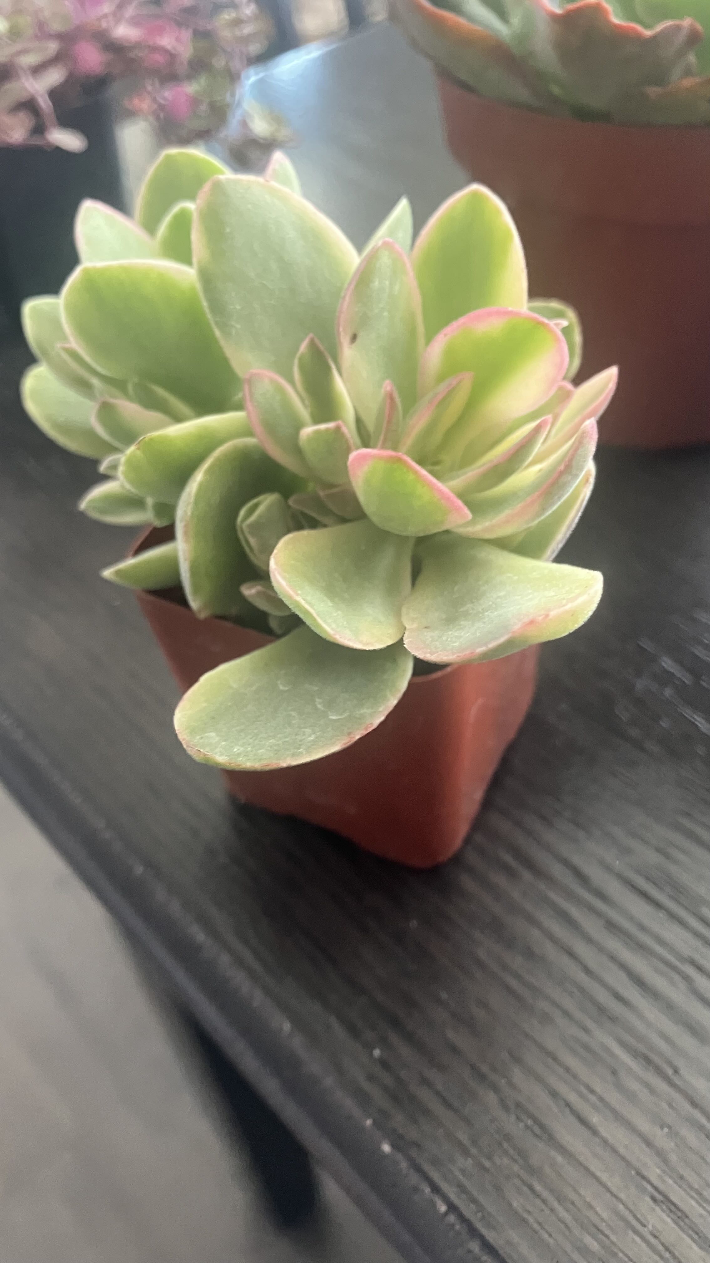 Photo from the post