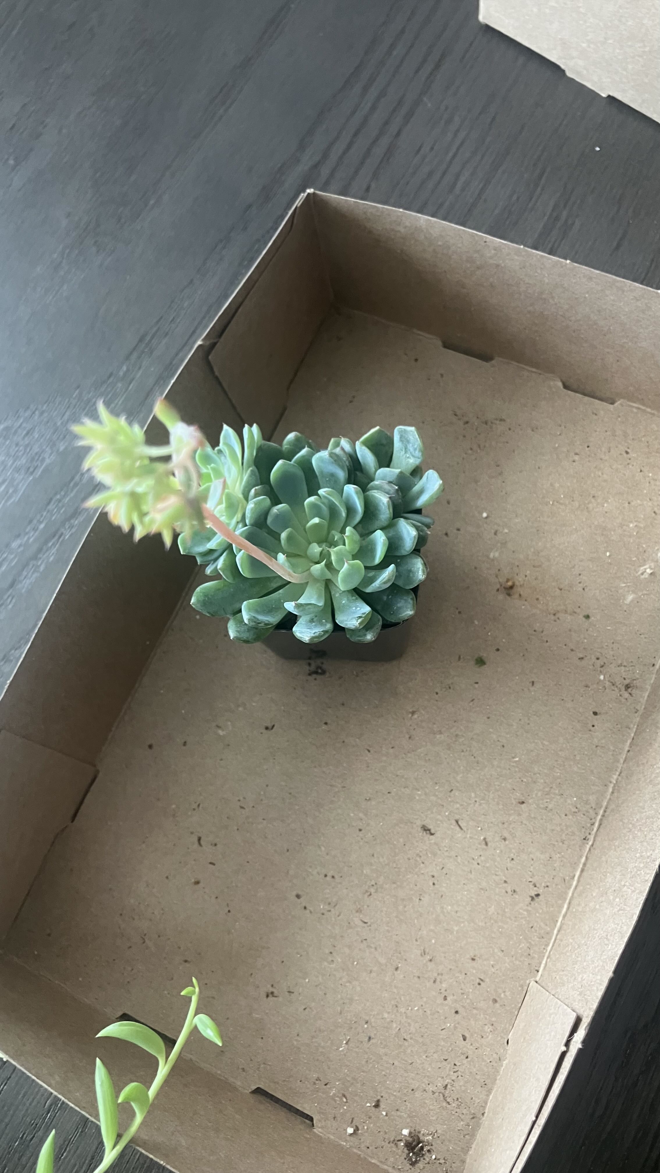 Photo from the post